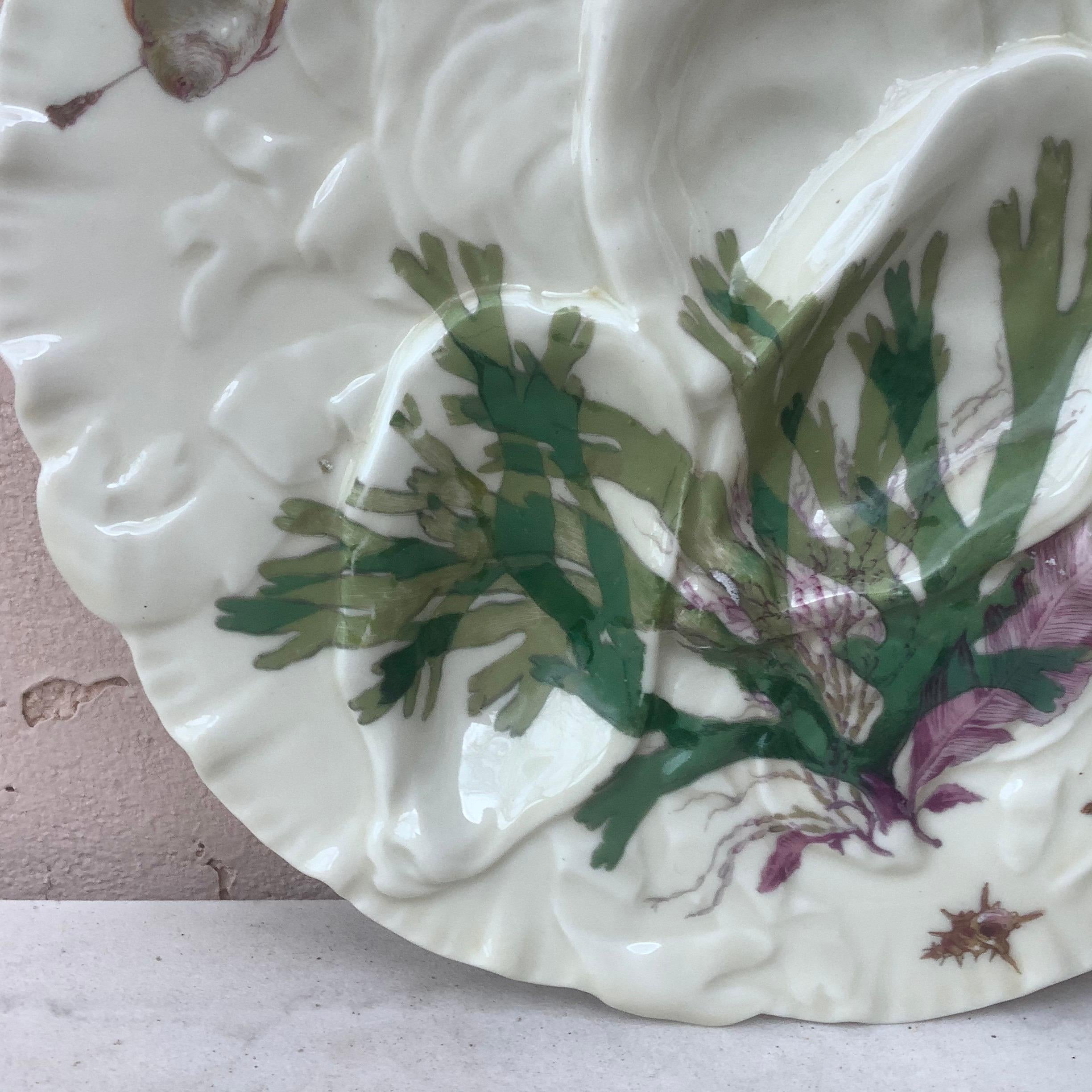 Antique 19th-Century French porcelain oyster plate with sealife pattern (shells, seaweeds, starfish, fishs ) signed Limoges Haviland & C.

