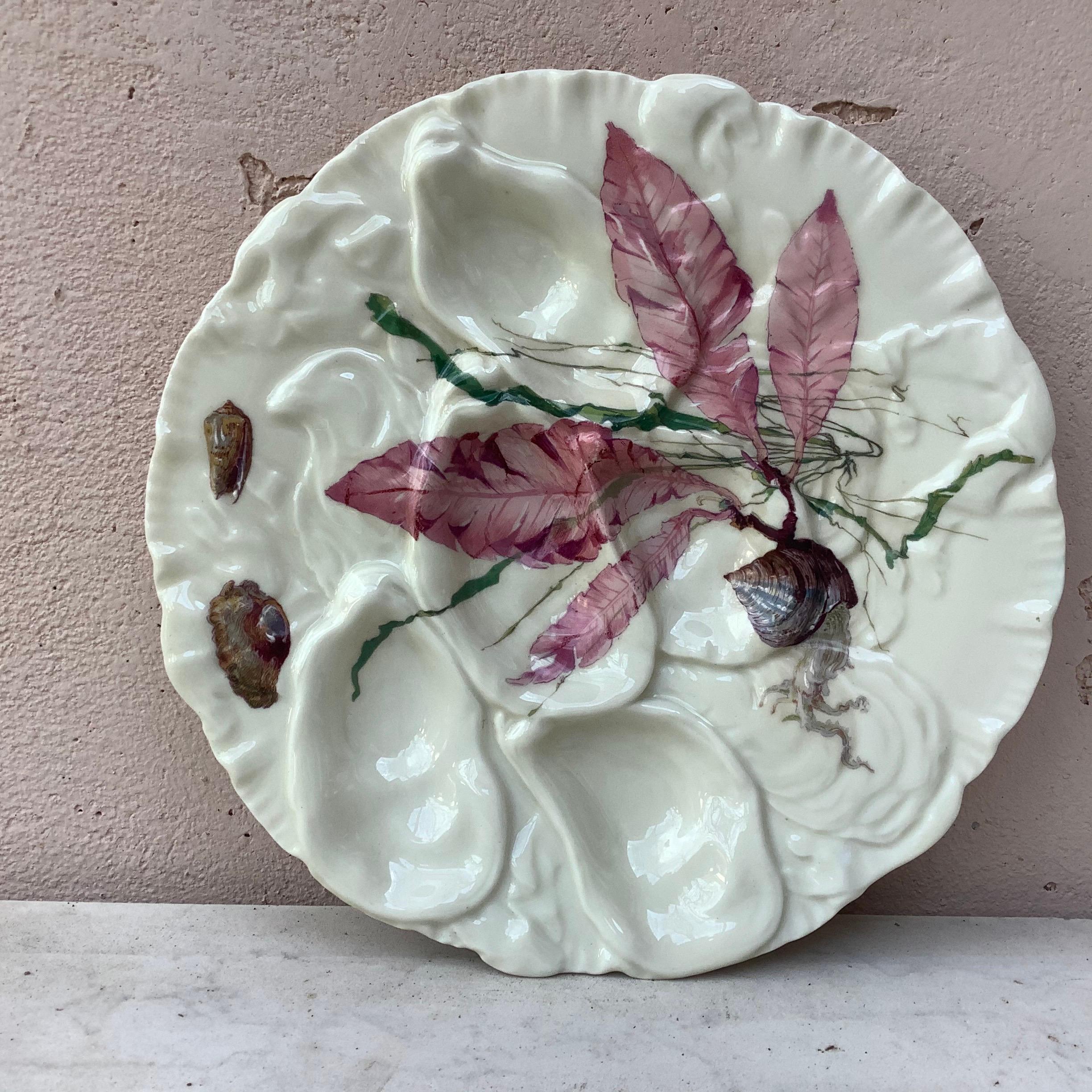 Antique 19th century French porcelain oyster plate with sealife pattern (shells, seaweeds, starfish, fishs) signed Limoges Haviland & C.