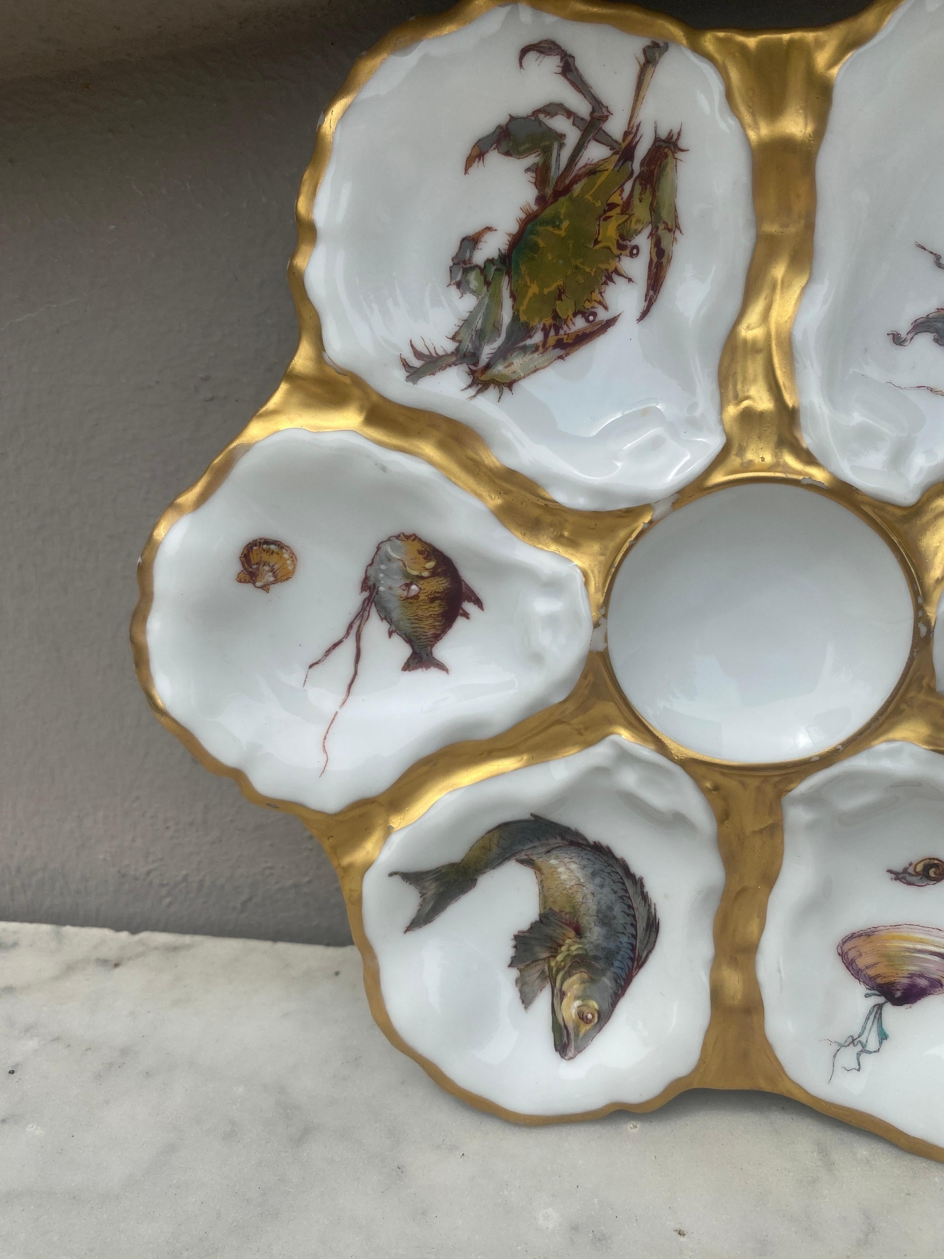 Antique 19th-century French porcelain oyster plate with sealife pattern (shells, seaweeds, fish) signed Limoges Haviland & C.