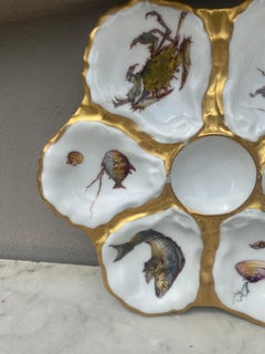 French Oyster Plate Porcelain Sealife Haviland Limoges