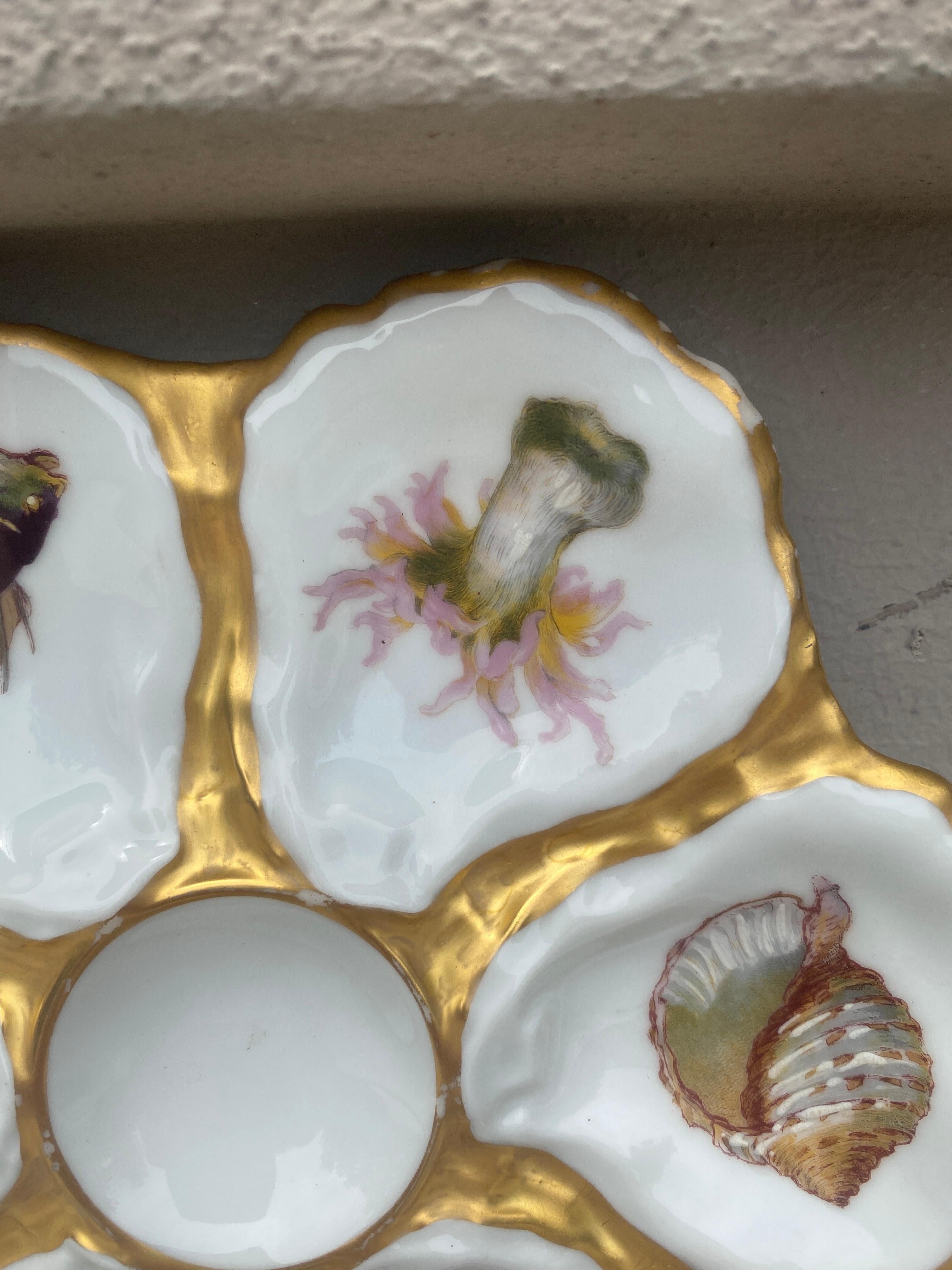 Antique 19th-century French porcelain oyster plate with sealife pattern (shells, seaweeds, fish) signed Limoges Haviland & C.