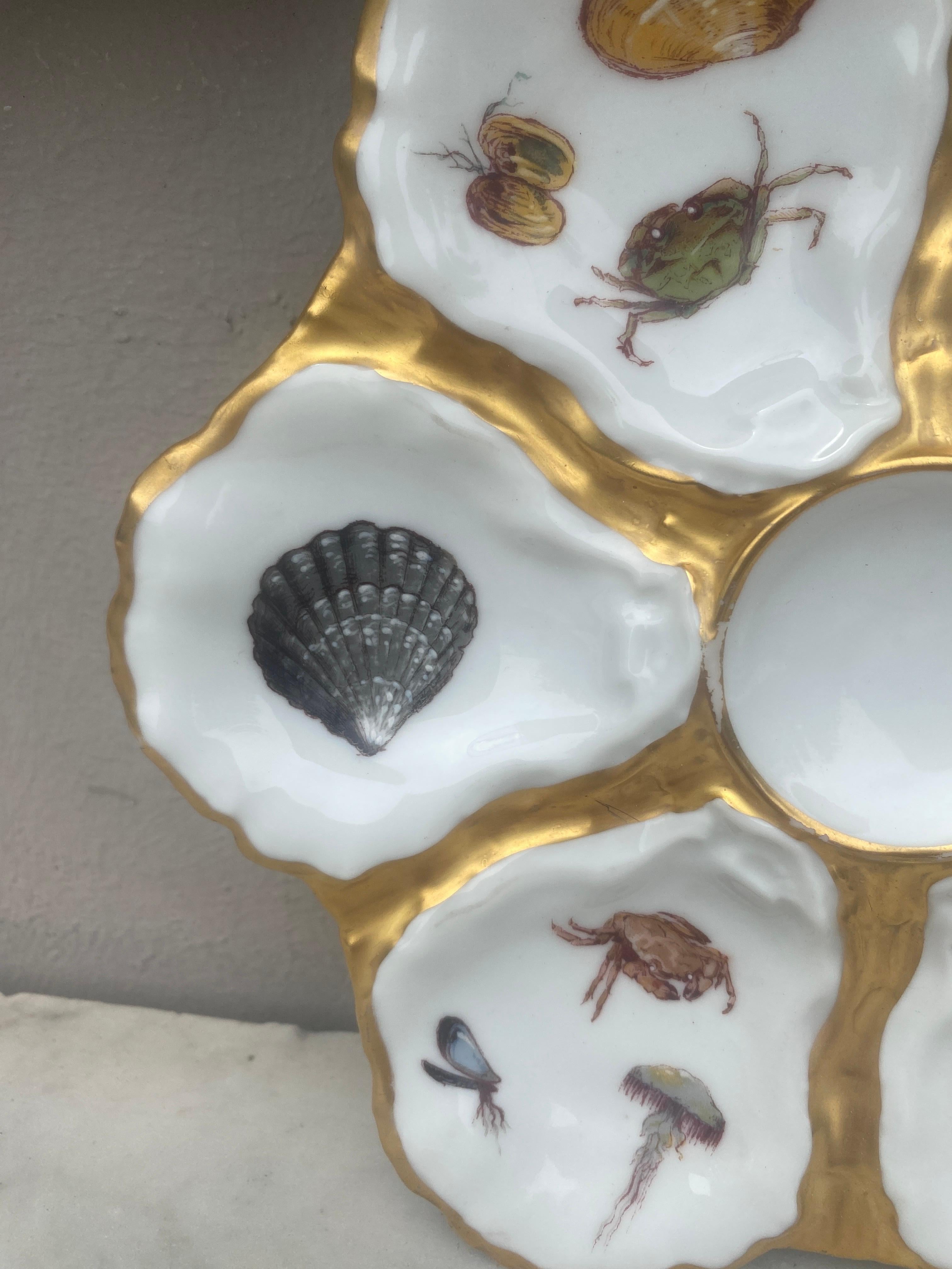 Antique 19th-century French porcelain oyster plate with sealife pattern (shells, seaweeds, crabs,turtle) signed Limoges Haviland & C.