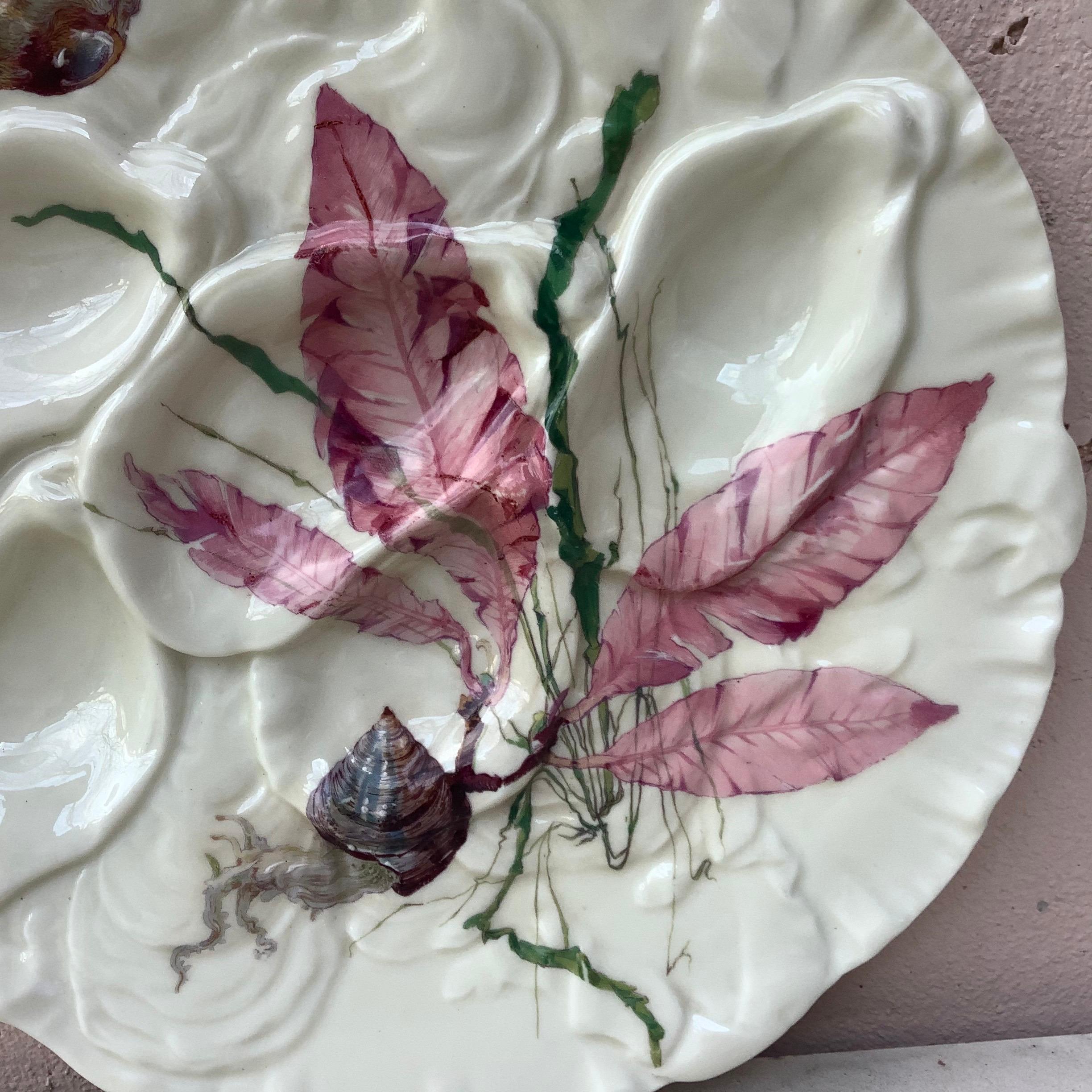 Aesthetic Movement French Oyster Plate Porcelain Sealife Haviland Limoges