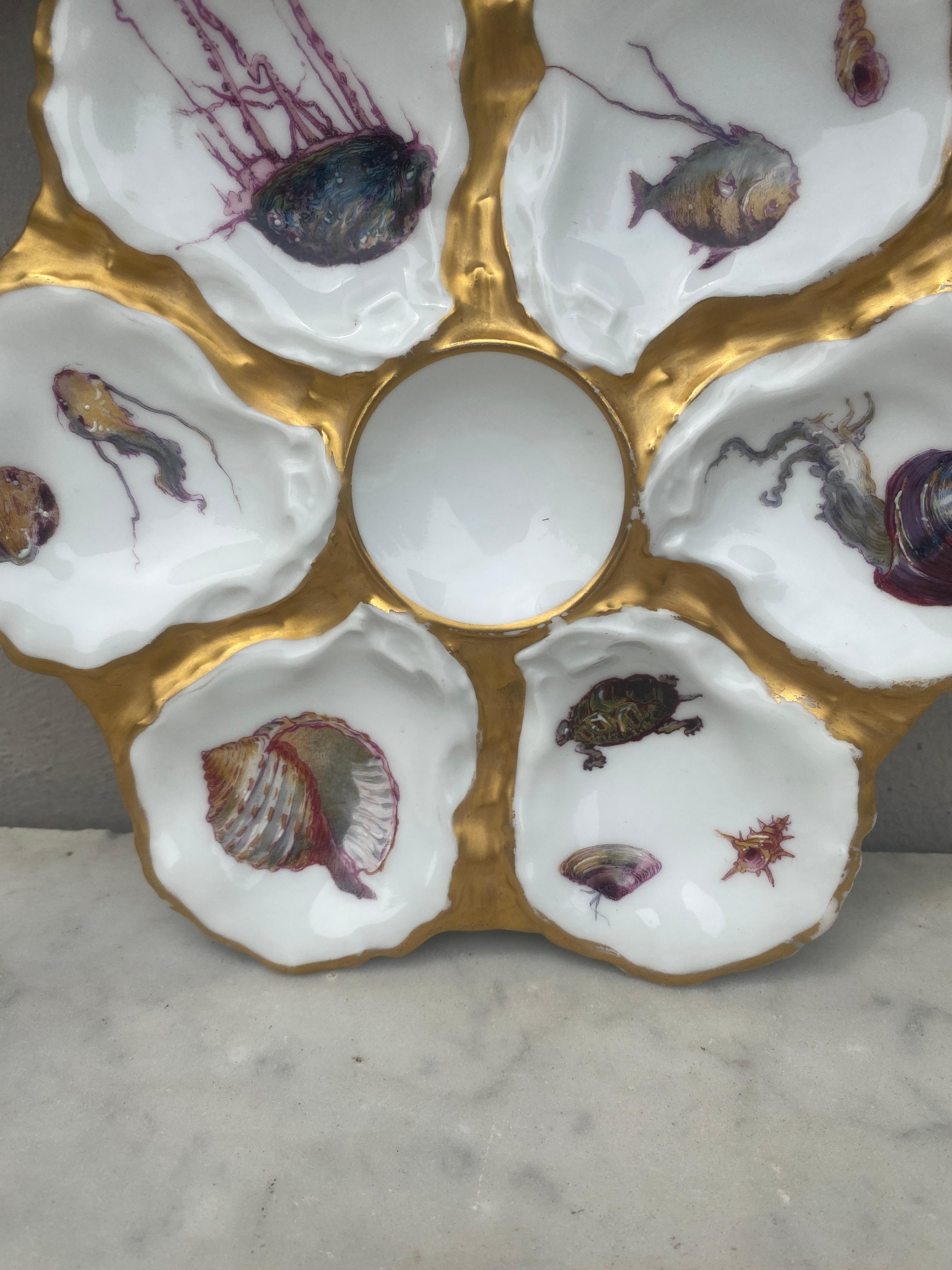 Aesthetic Movement French Oyster Plate Porcelain Sealife Haviland Limoges