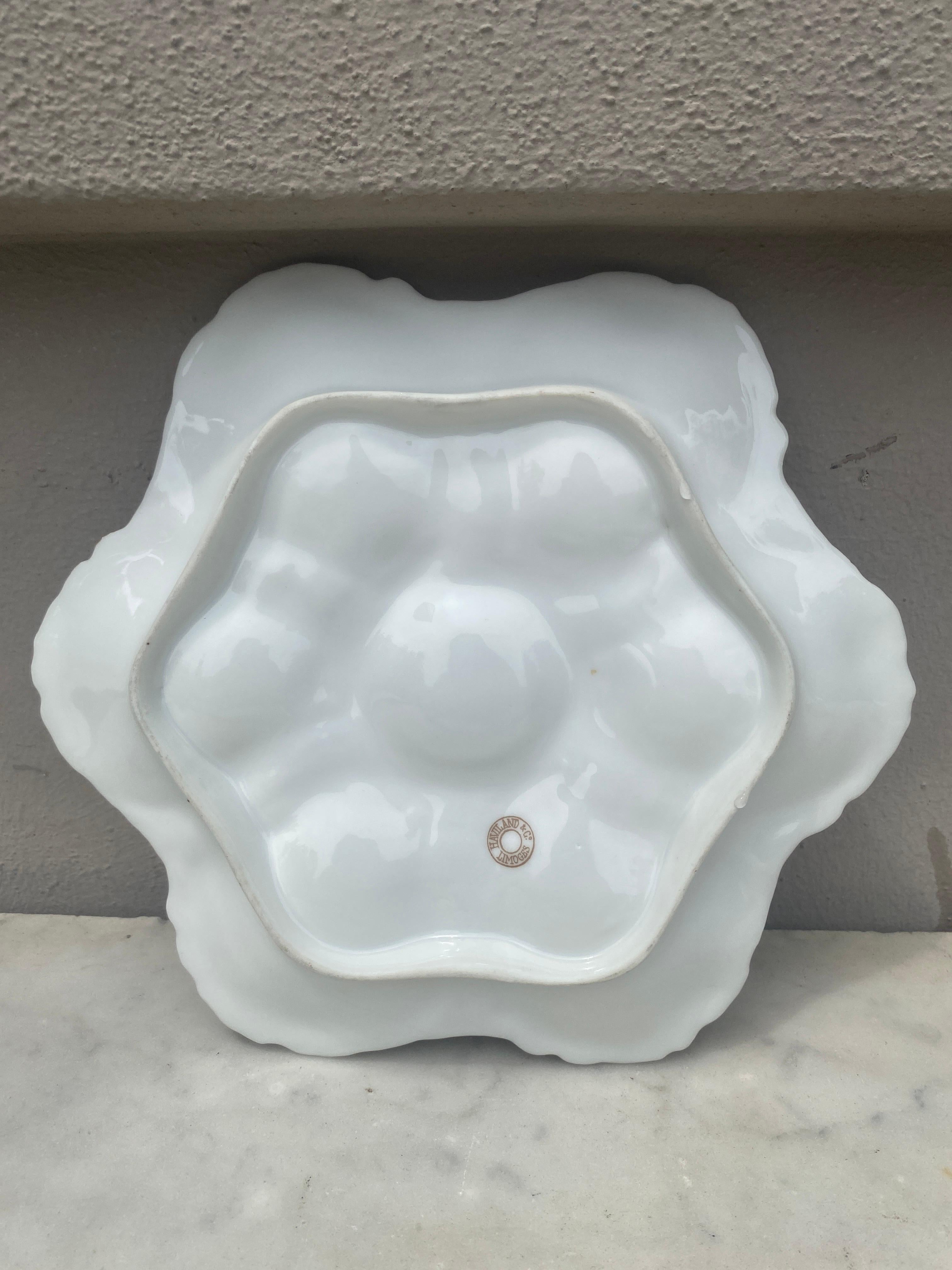 French Oyster Plate Porcelain Sealife Haviland Limoges In Good Condition In Austin, TX