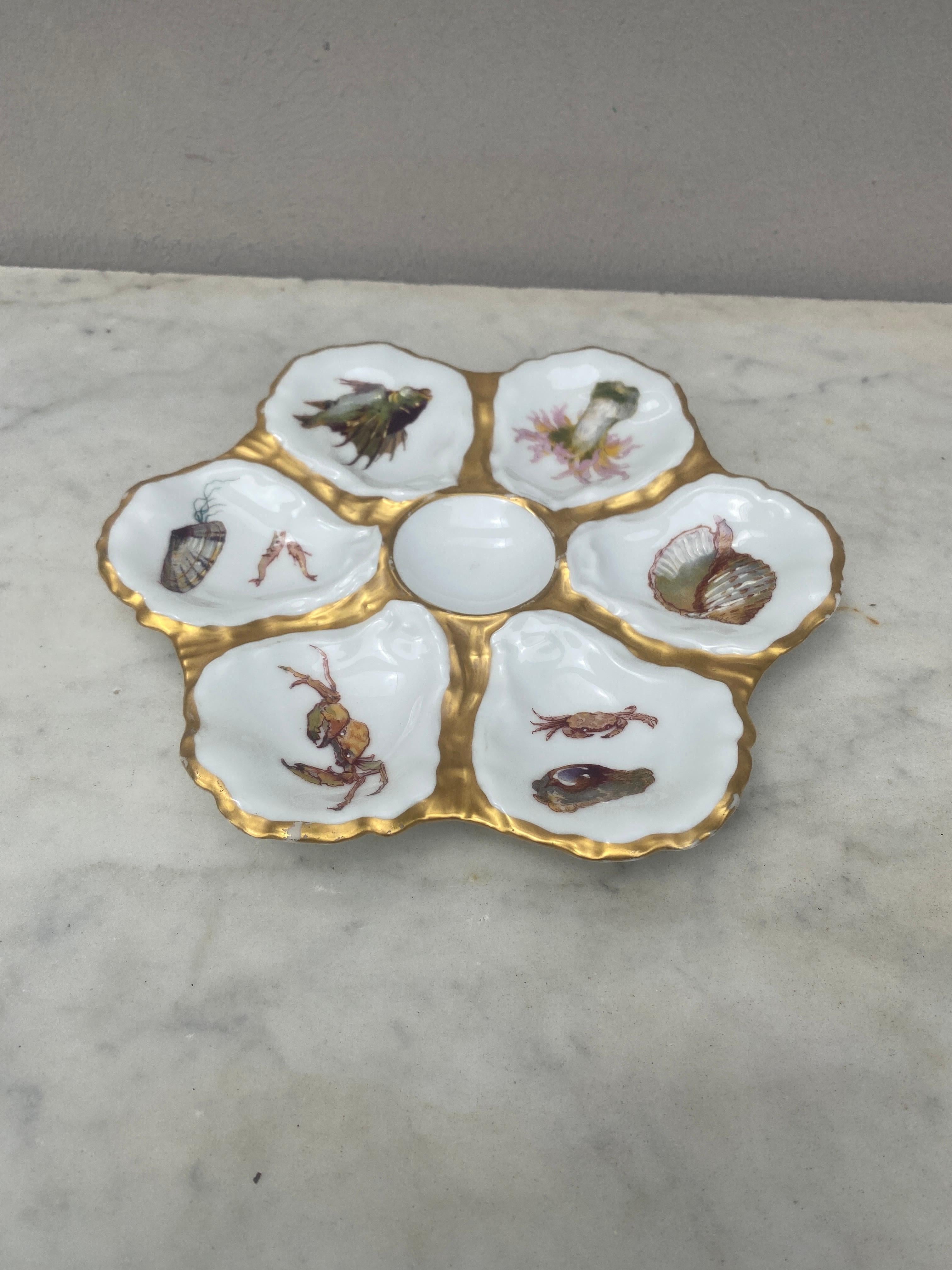 French Oyster Plate Porcelain Sealife Haviland Limoges In Good Condition In Austin, TX