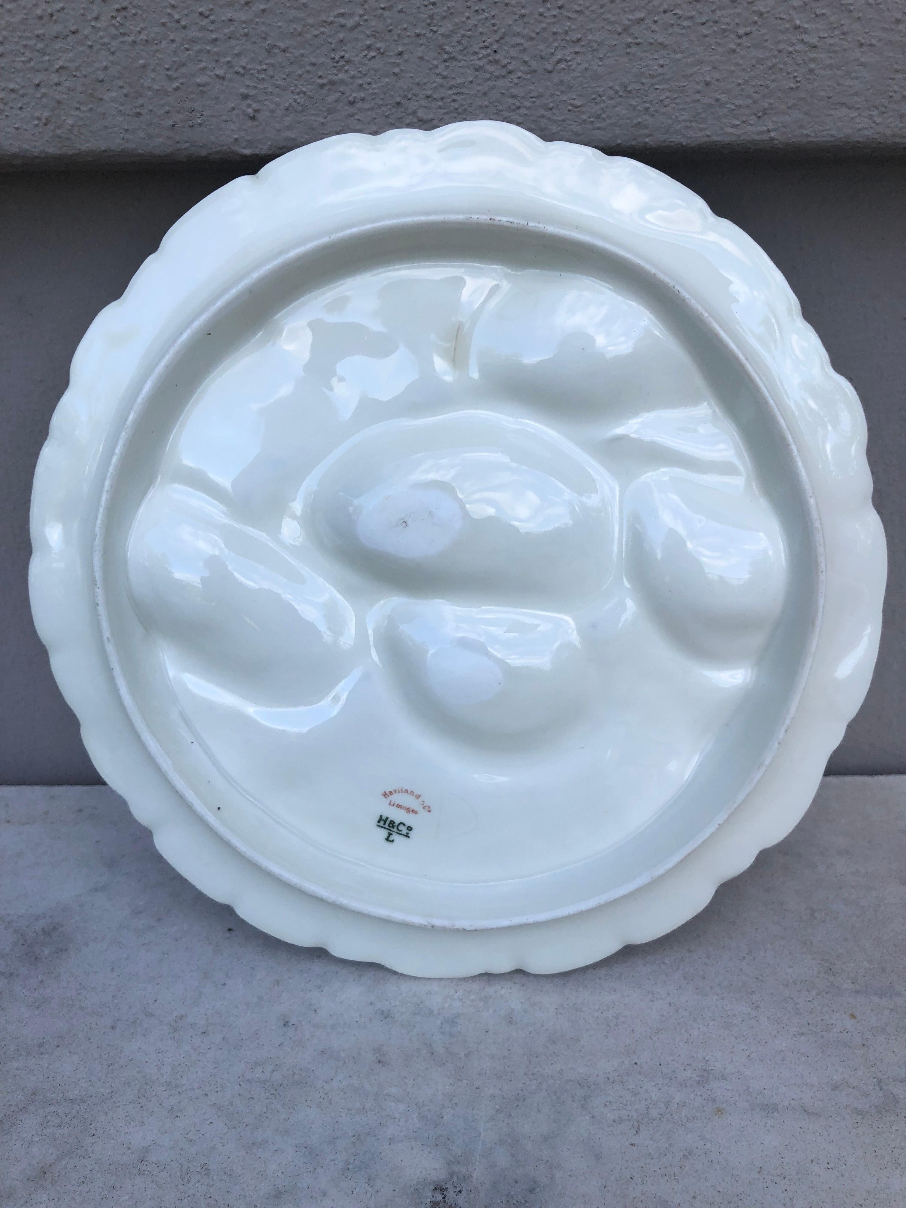 French Oyster Plate Porcelain Sealife Haviland Limoges 1