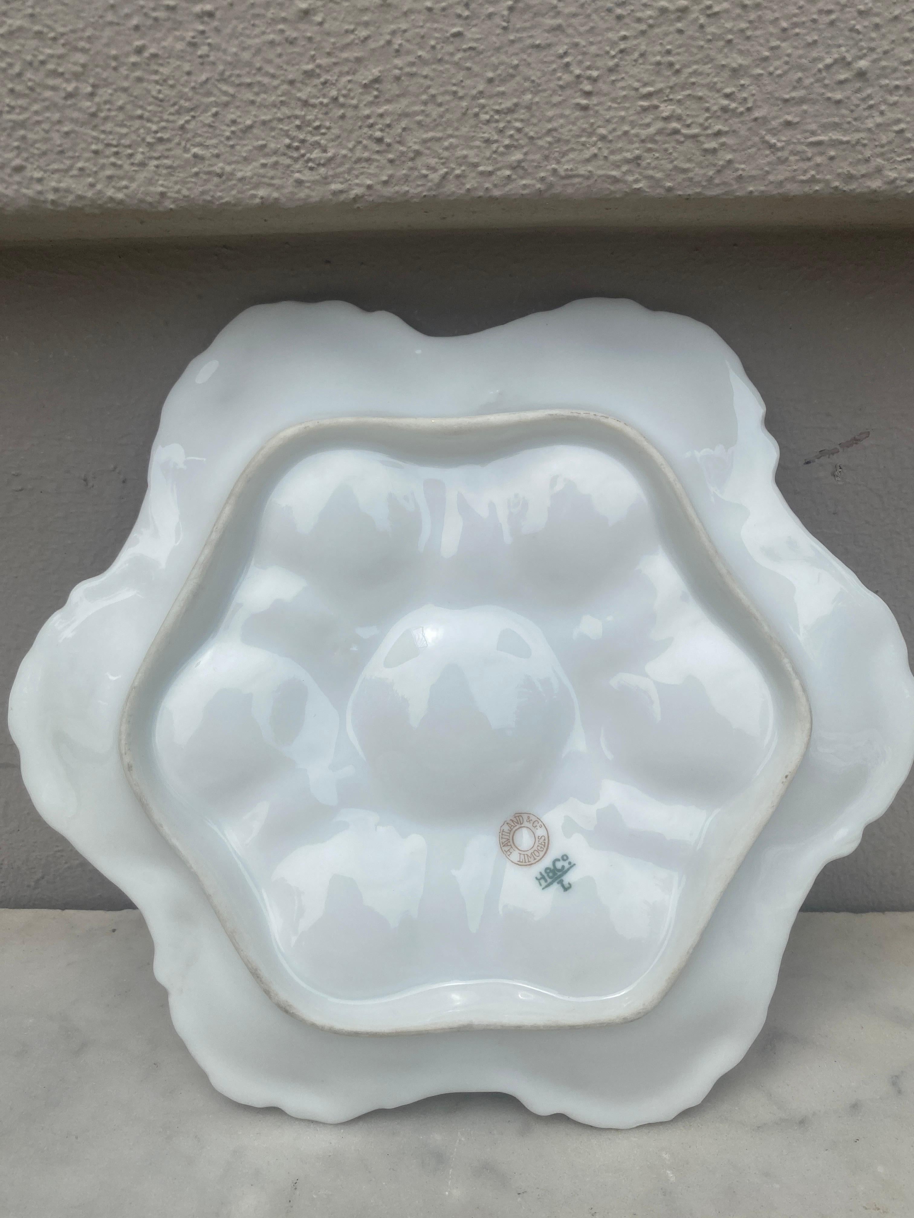 Late 19th Century French Oyster Plate Porcelain Sealife Haviland Limoges