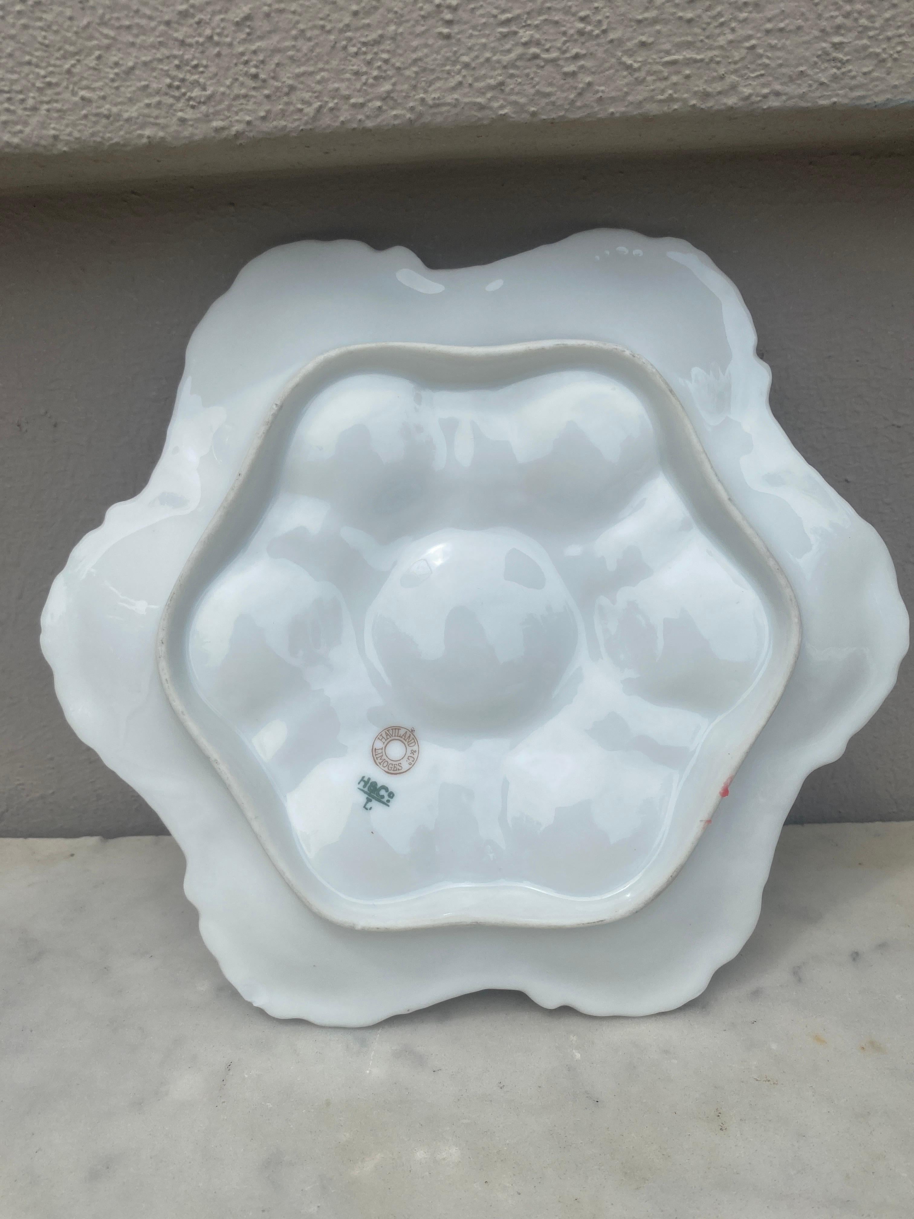 French Oyster Plate Porcelain Sealife Haviland Limoges 1