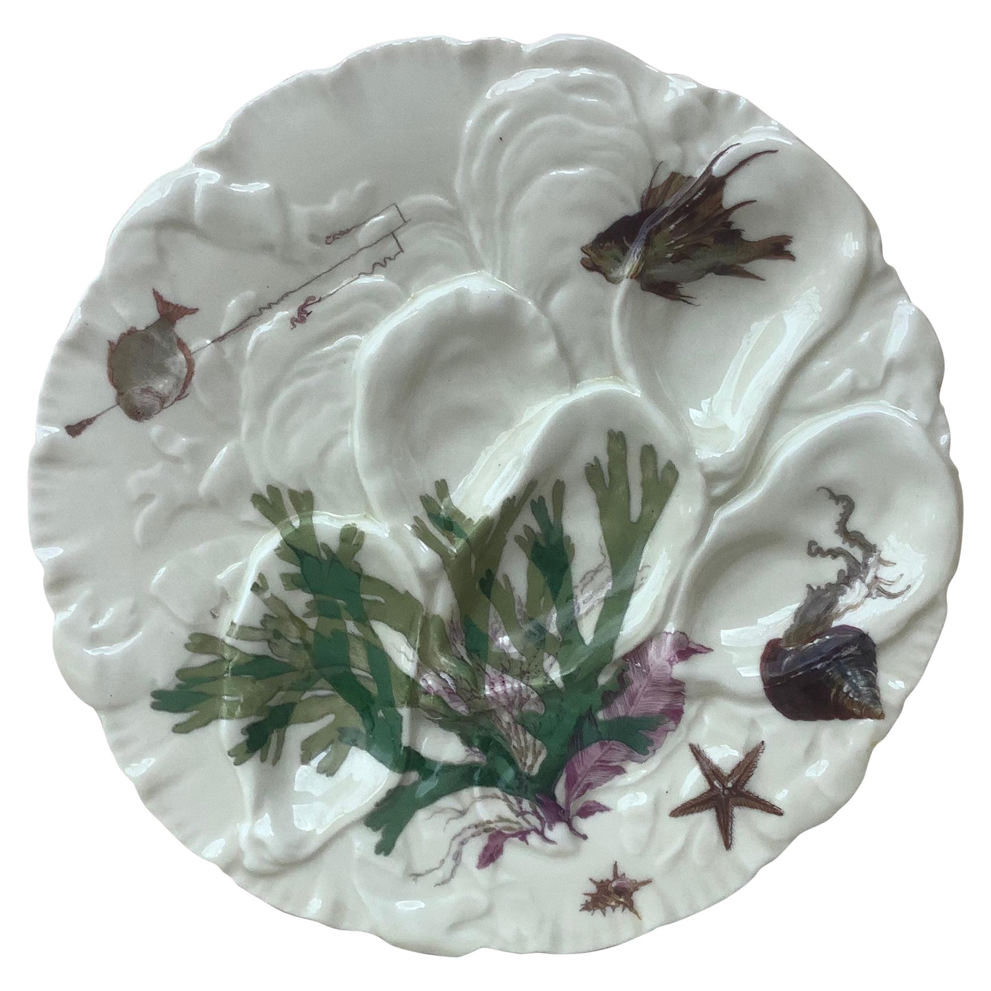 French Oyster Plate Porcelain Sealife Haviland Limoges 2