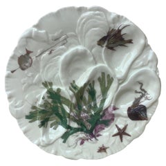 French Oyster Plate Porcelain Sealife Haviland Limoges