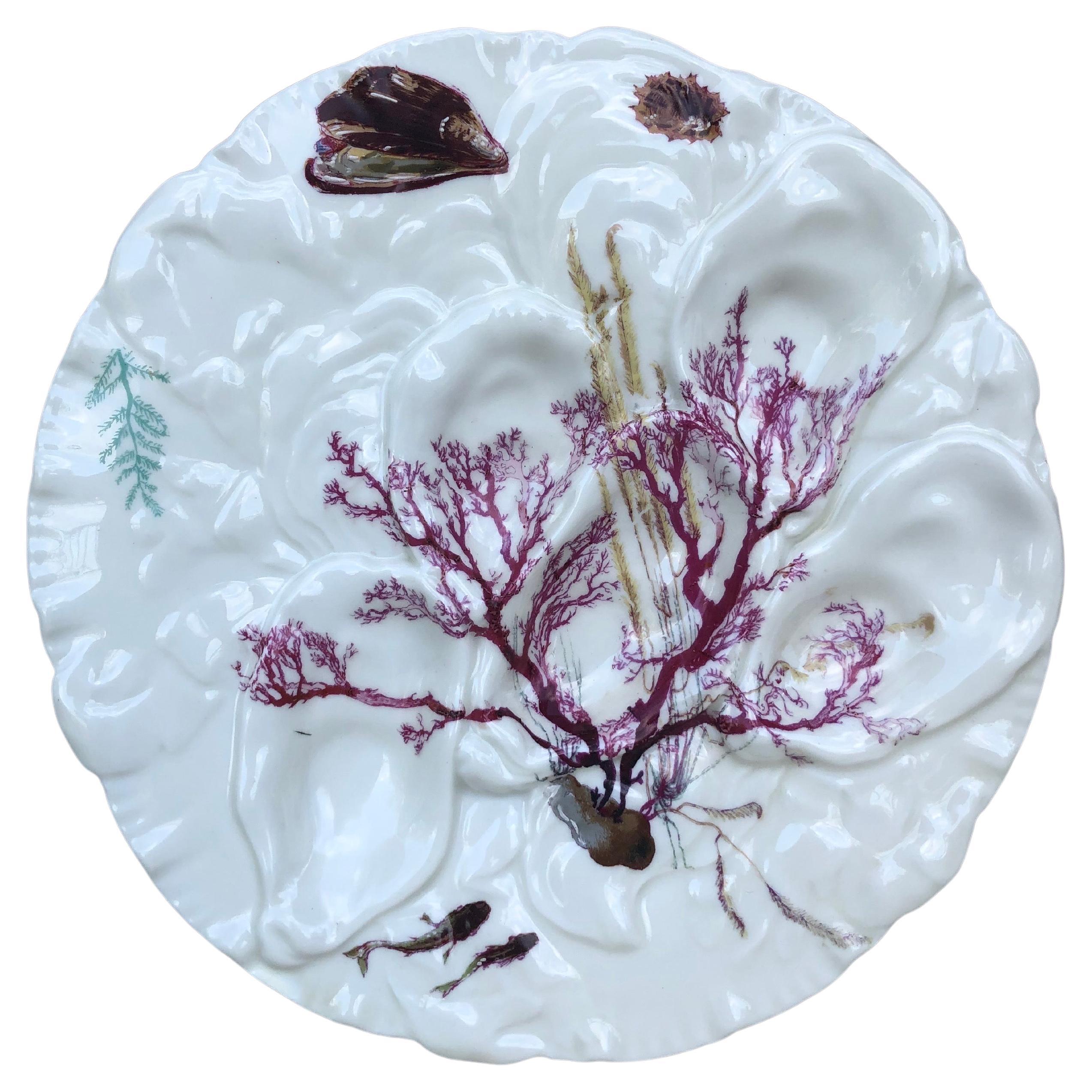 French Oyster Plate Porcelain Sealife Haviland Limoges