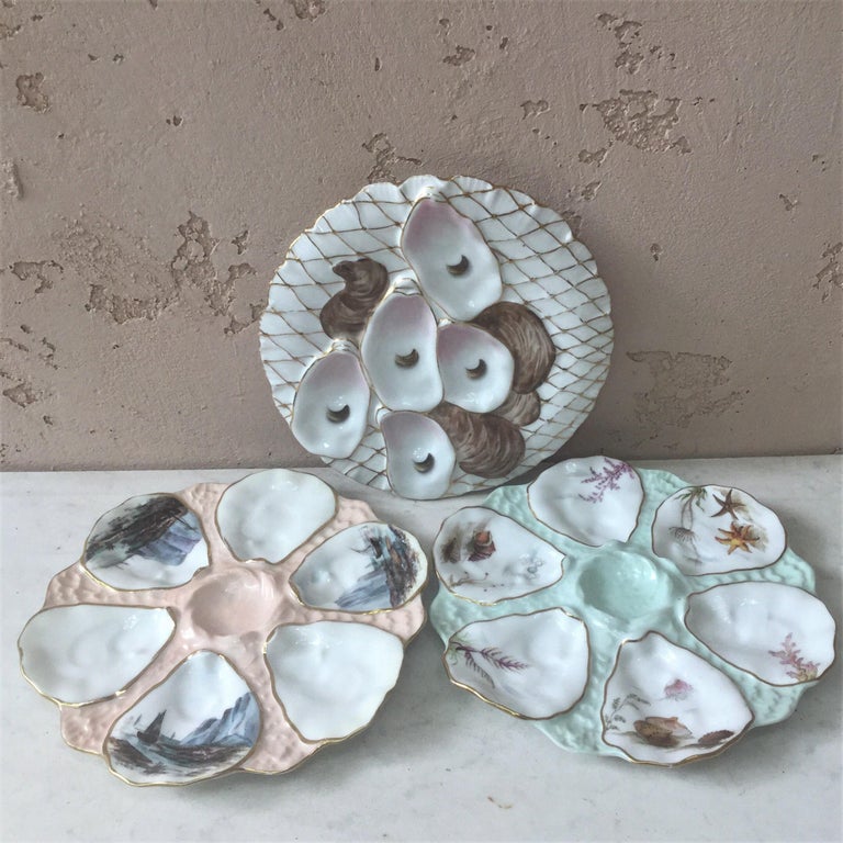 French Oyster Plate Porcelain Sealife Limoges at 1stDibs