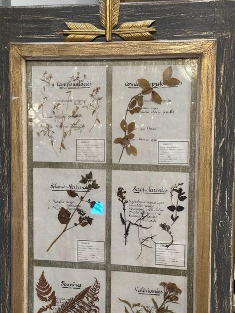 Contemporary French Painted Botanical Panel