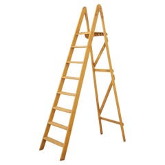 Vintage French Painted Folding Ladder