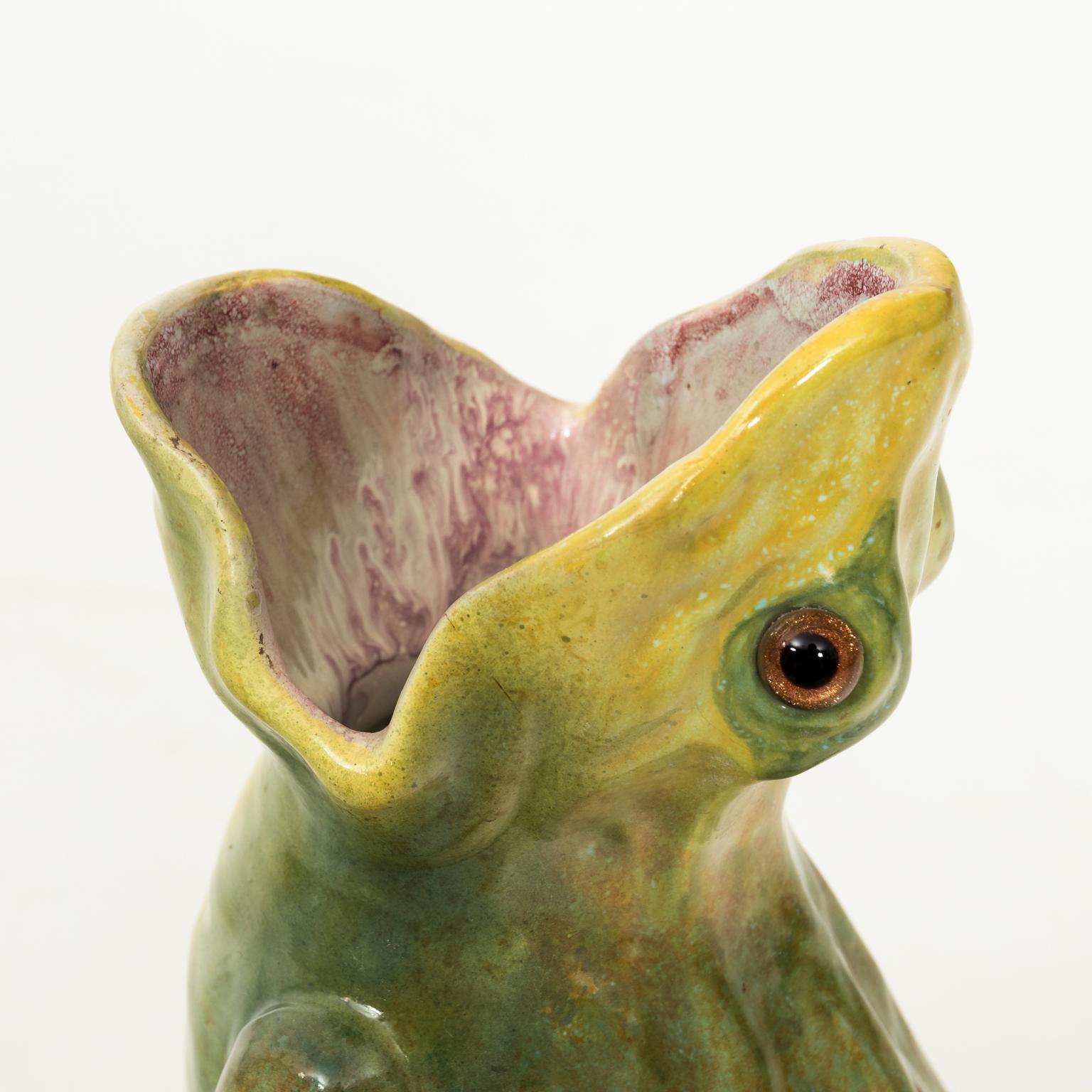 French Painted Frog 1