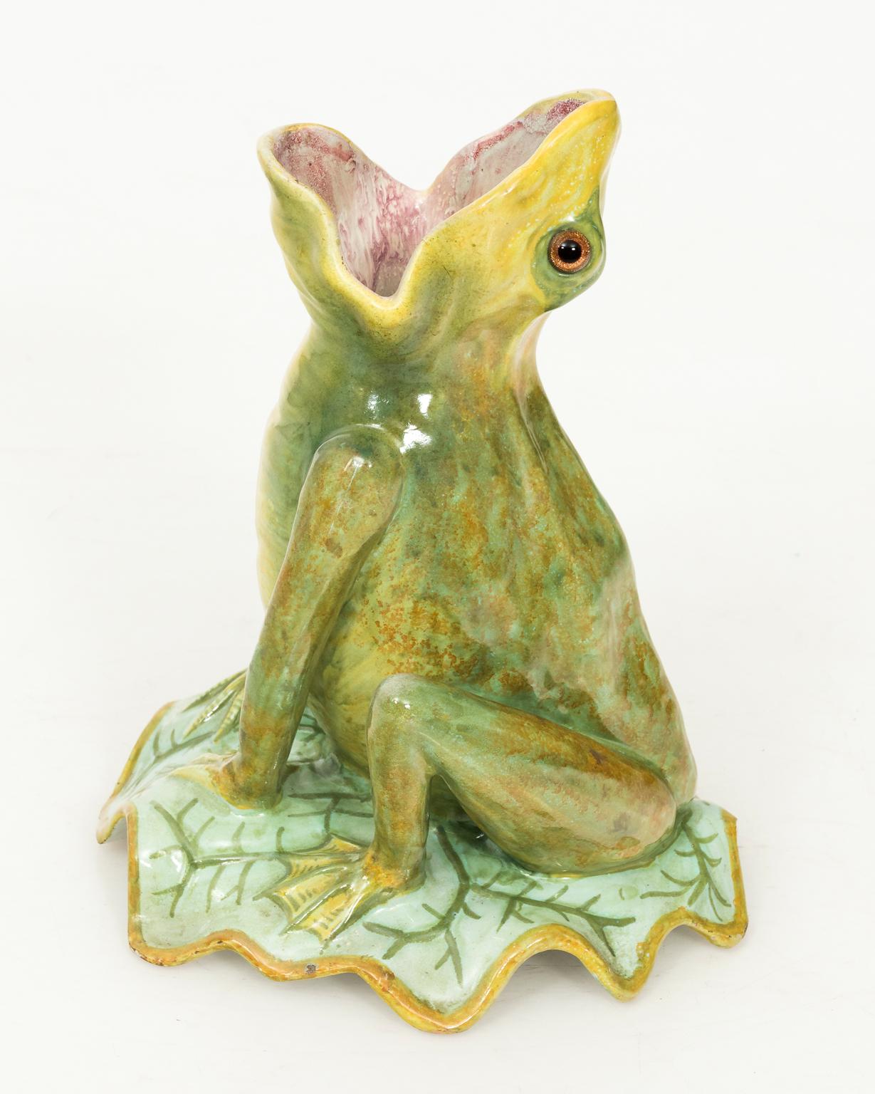 French Painted Frog 2