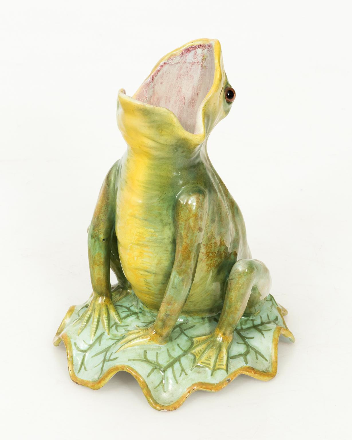 French Painted Frog 3