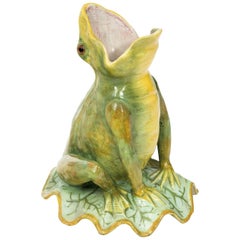 French Painted Frog
