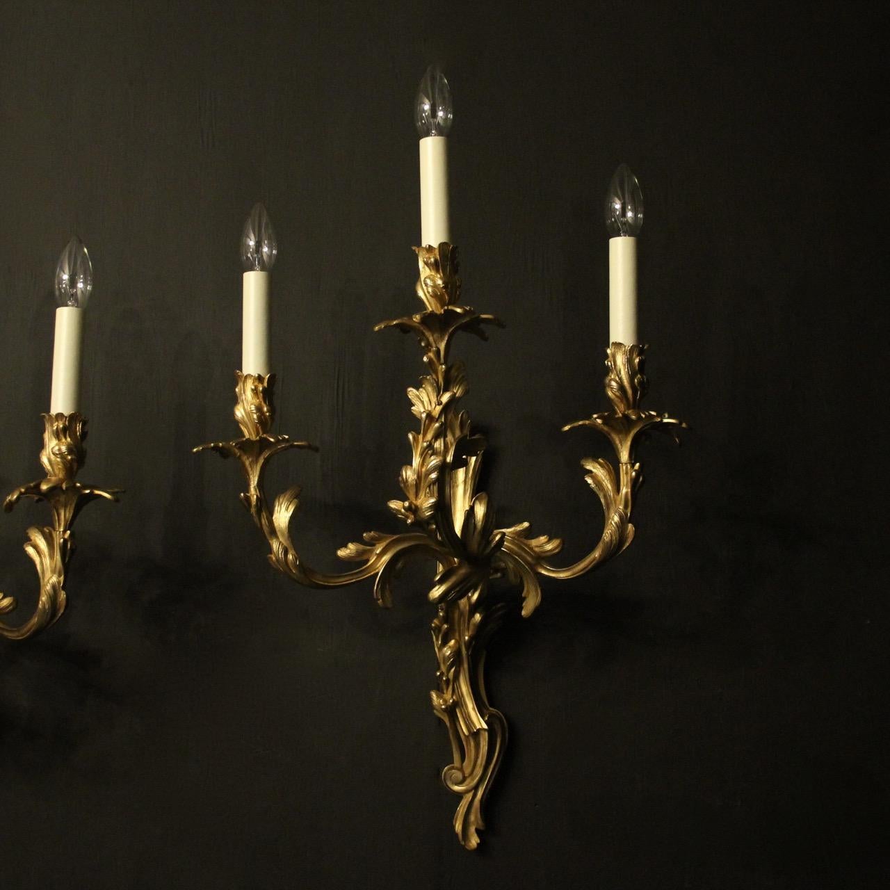 A large French pair of gilded bronze triple arm antique wall sconces, the ornate leaf tiered scrolling arms with leaf bobeche drip pans and bulbous leaf candle sconces, issuing from a decoratively cast opposing elongated backplate, lovely bright