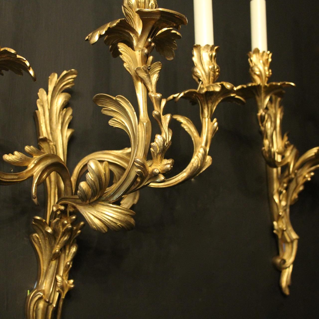 Gilt French Pair of 19th Century Gilded Bronze Triple Arm Antique Wall Sconces