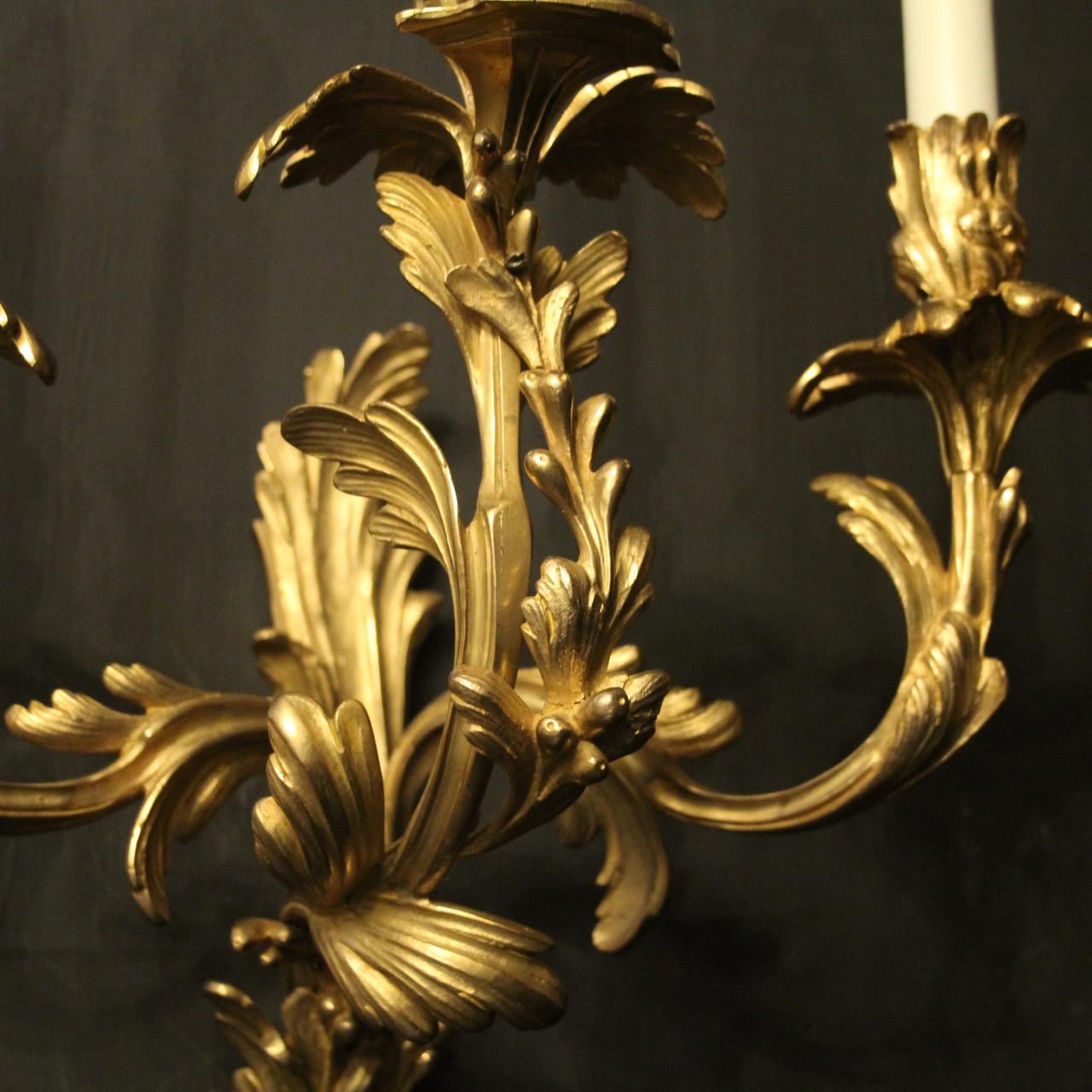 French Pair of 19th Century Gilded Bronze Triple Arm Antique Wall Sconces 2
