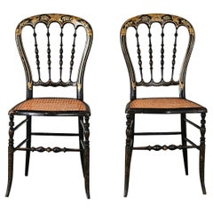 French Pair of 19th Century Opera Chairs