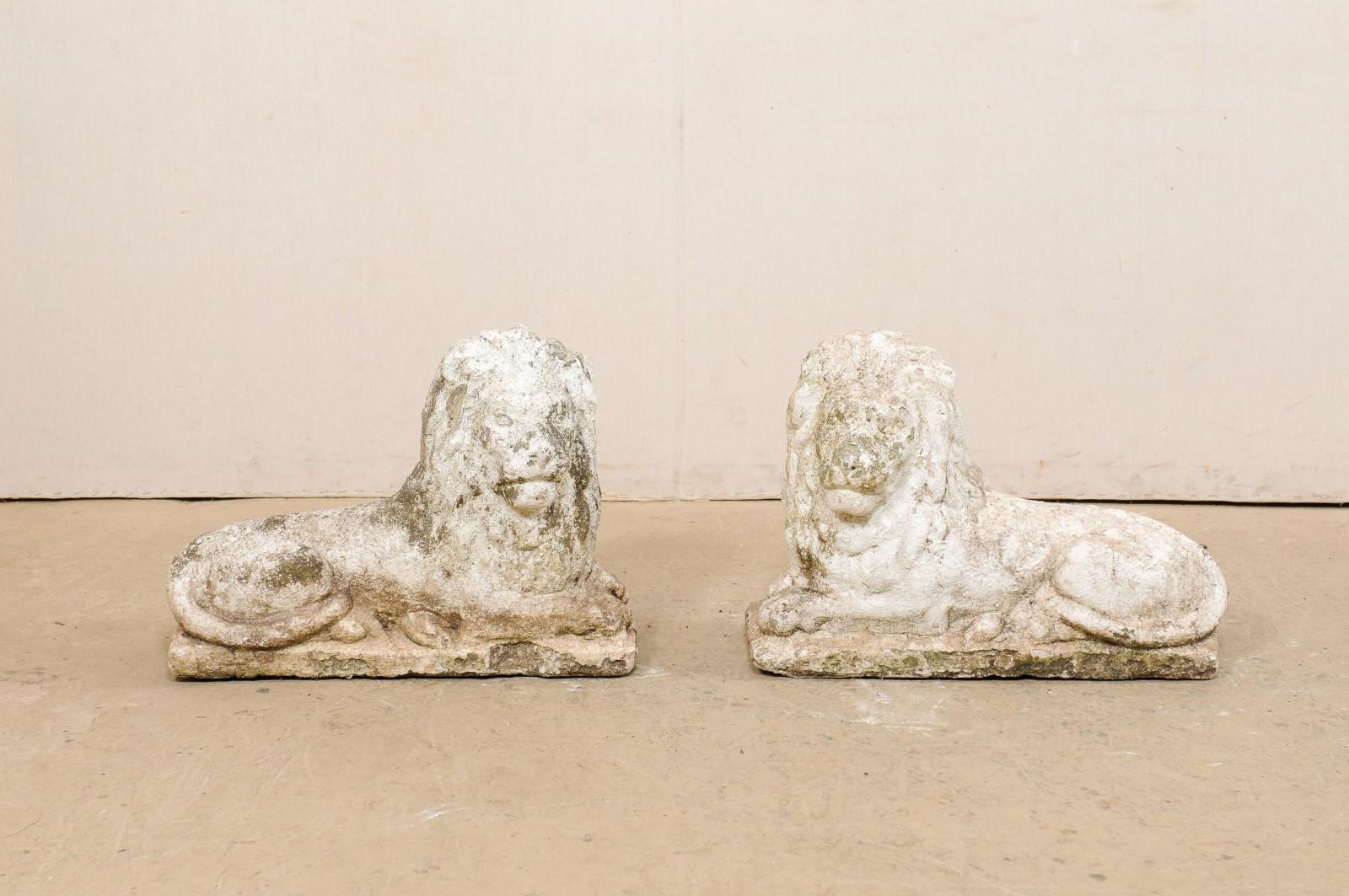 A pair of early 20th century French lion statues. This antique pair of cast-stone lions from France are each shown in laying position with heads up and alert, looking toward their side. This pair of lions have gorgeous, full manes of hair and