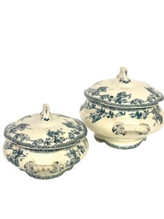 French Pair of Ironstone Lidded Tureens by Hippolyte Boulenger