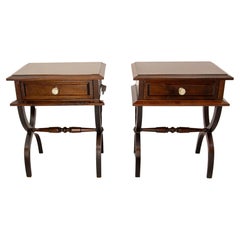 French Pair of Nightstands Side Cabinets Bedside Iroko and Resin, circa 1960