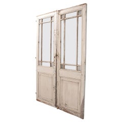 French Pair of Painted Doors