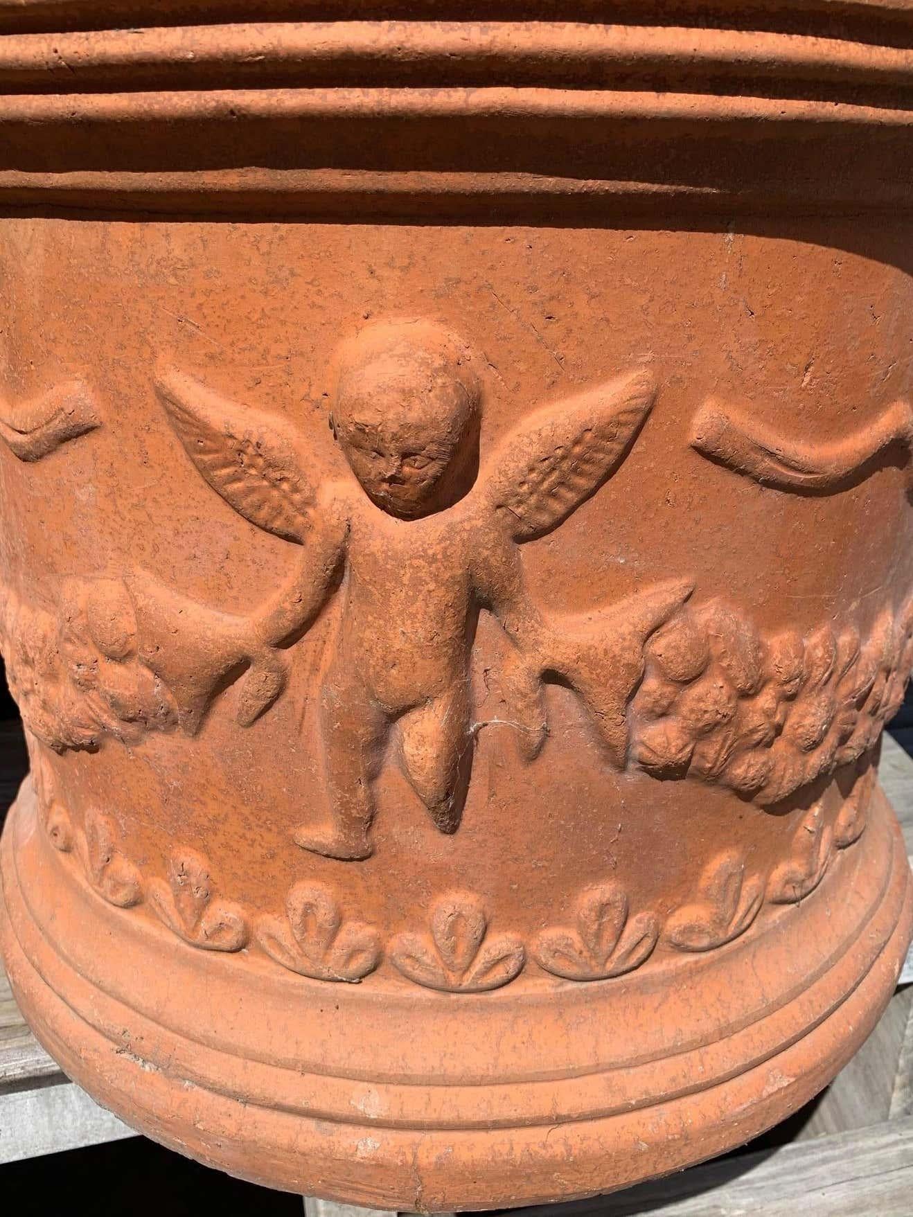 classic terracotta pots