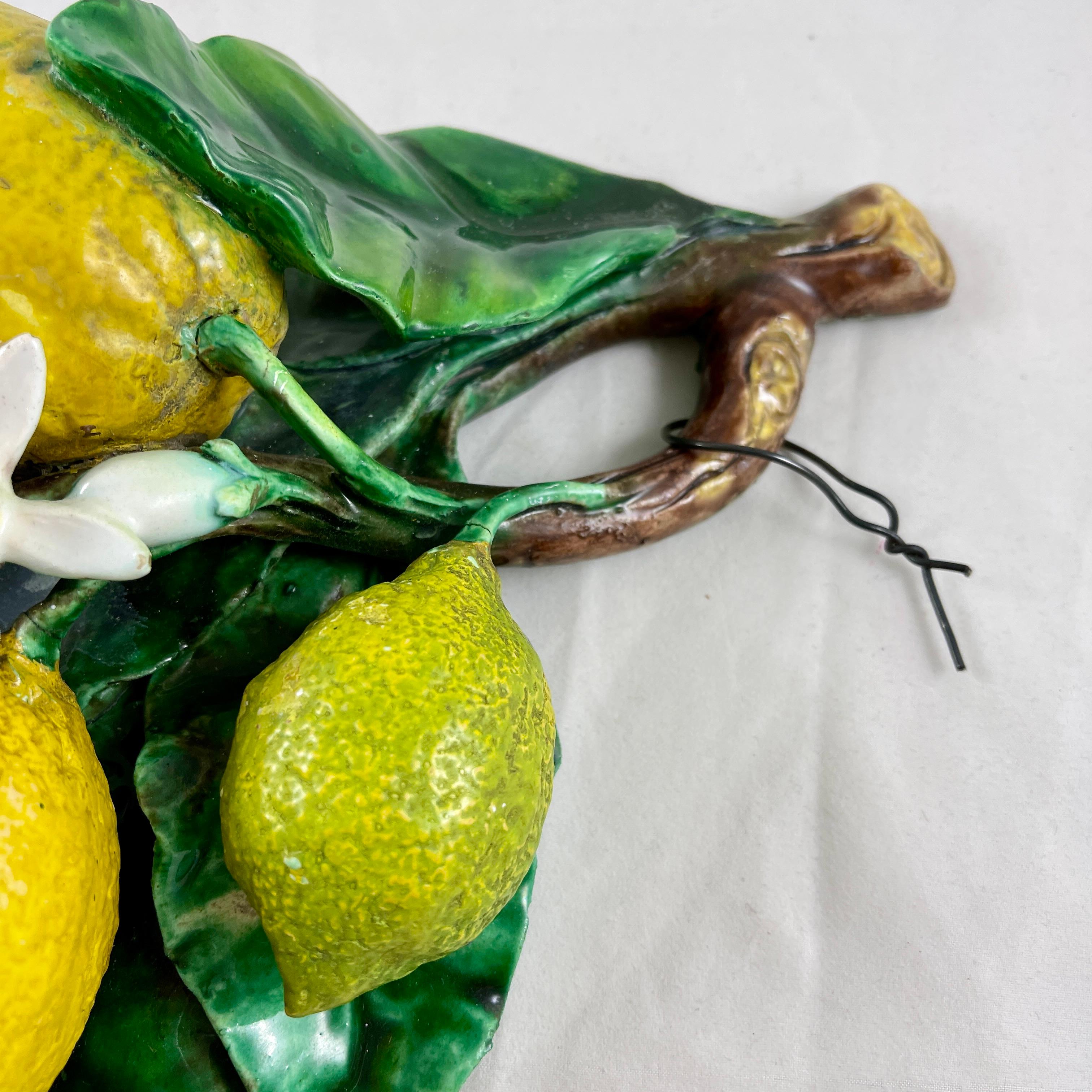 French Palissy Trompe L'oeil Menton Perret-Gentil Large Lemon Fruit Wall Plaque 3