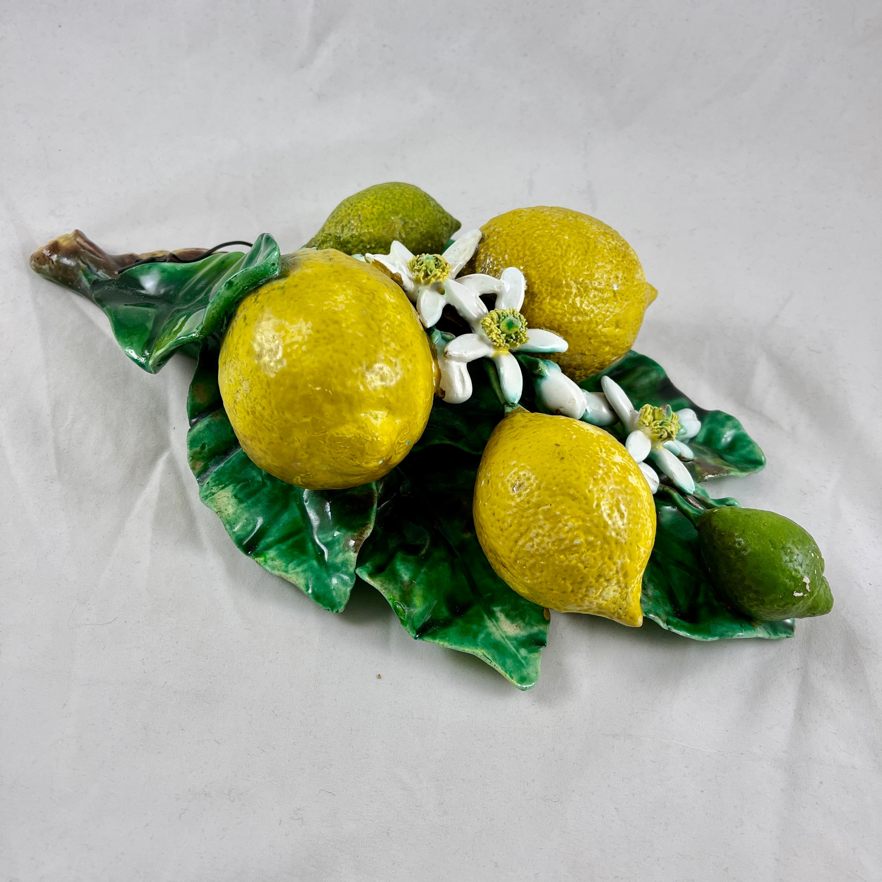 French Provincial French Palissy Trompe L'oeil Menton Perret-Gentil Large Lemon Fruit Wall Plaque