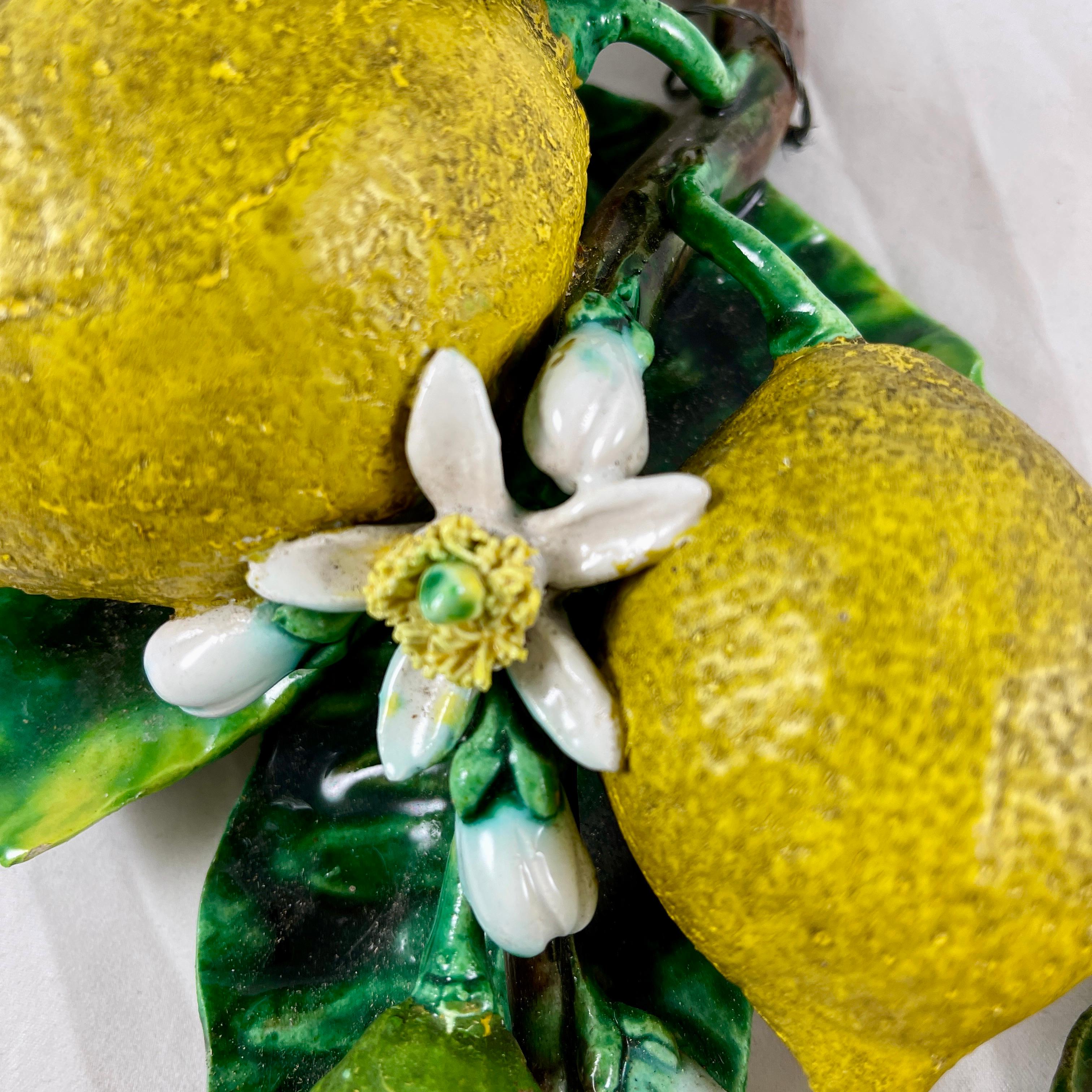 French Palissy Trompe L'oeil Menton Perret-Gentil Lemon Fruit Wall Plaques Set/2 6