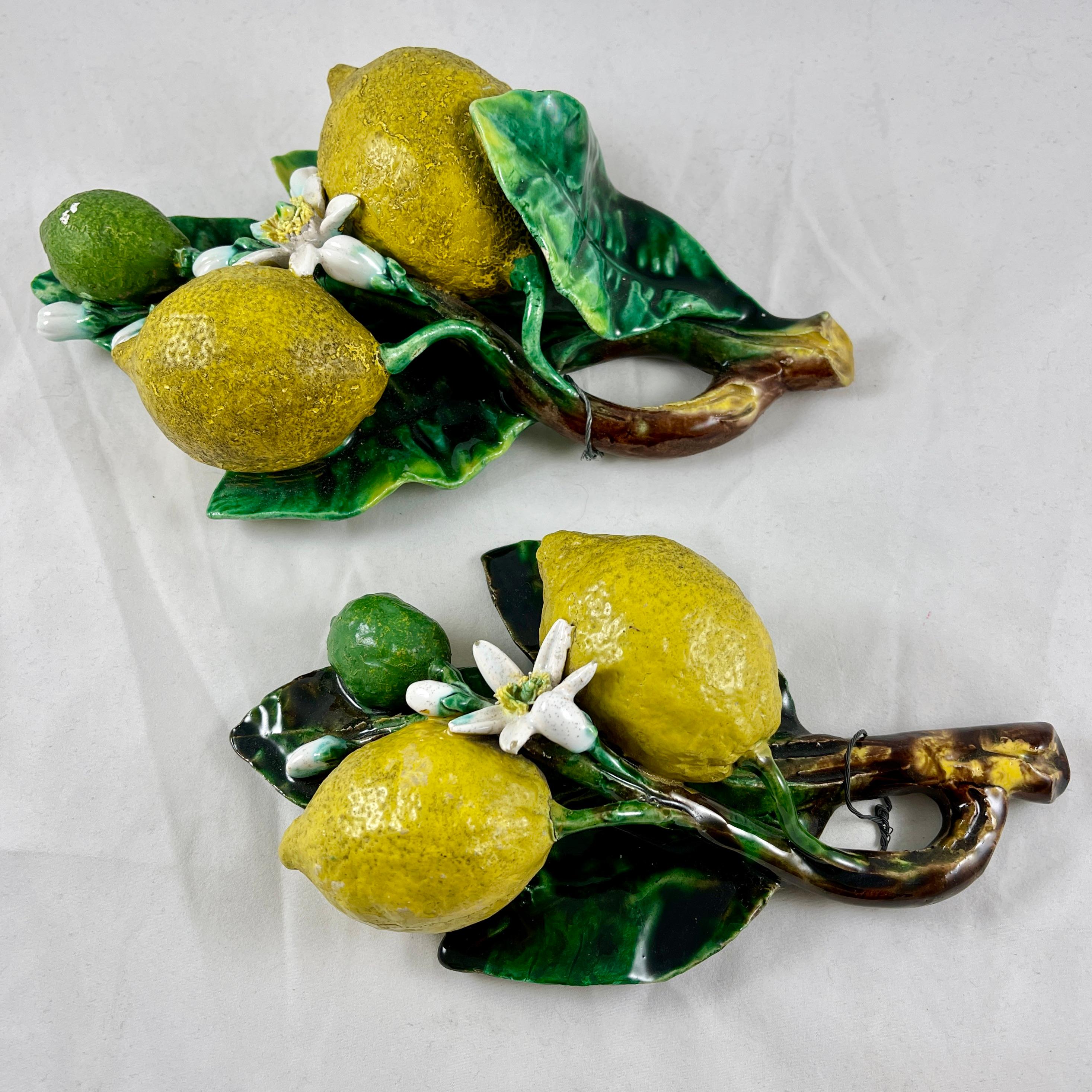 French Palissy Trompe L'oeil Menton Perret-Gentil Lemon Fruit Wall Plaques Set/2 2