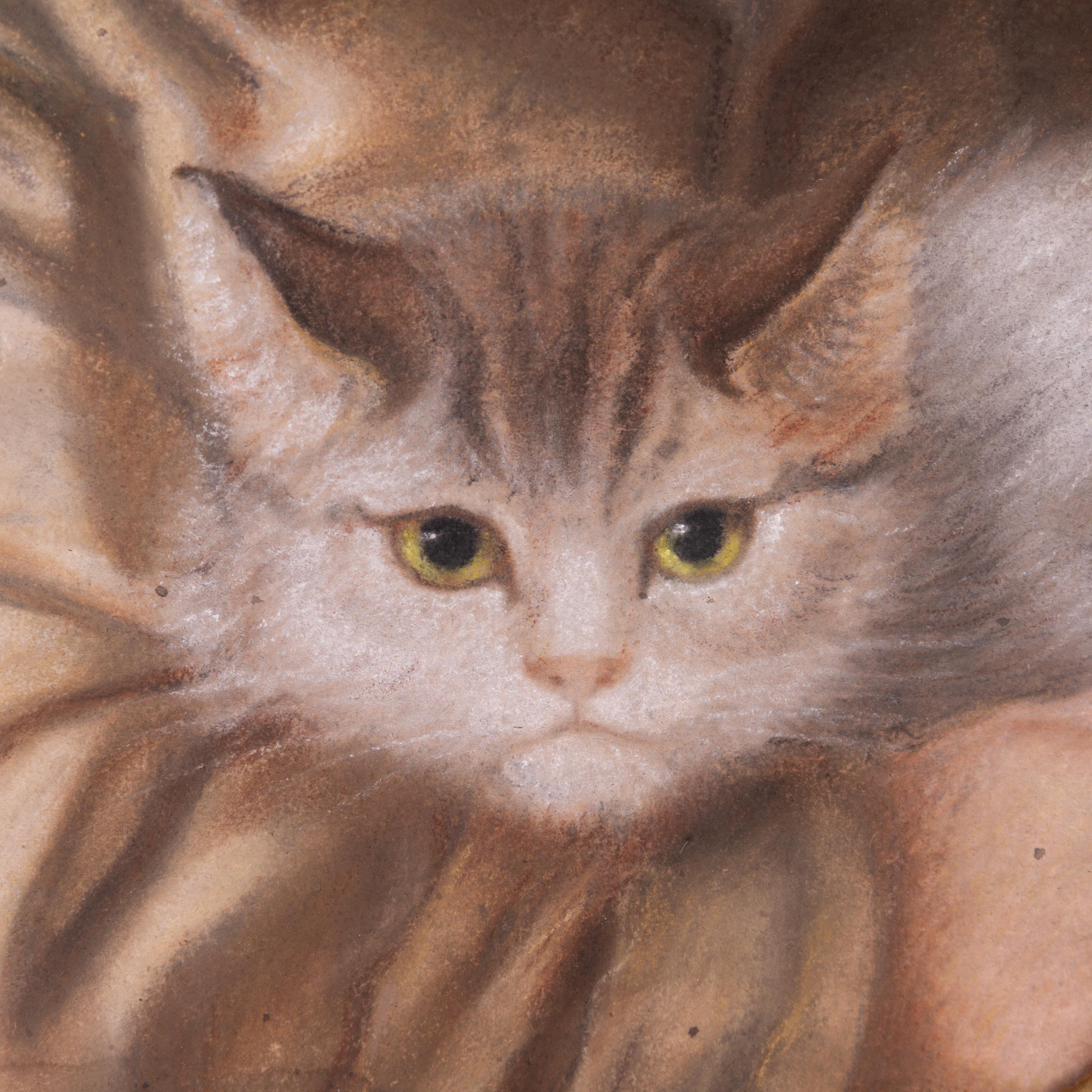 girl cat private