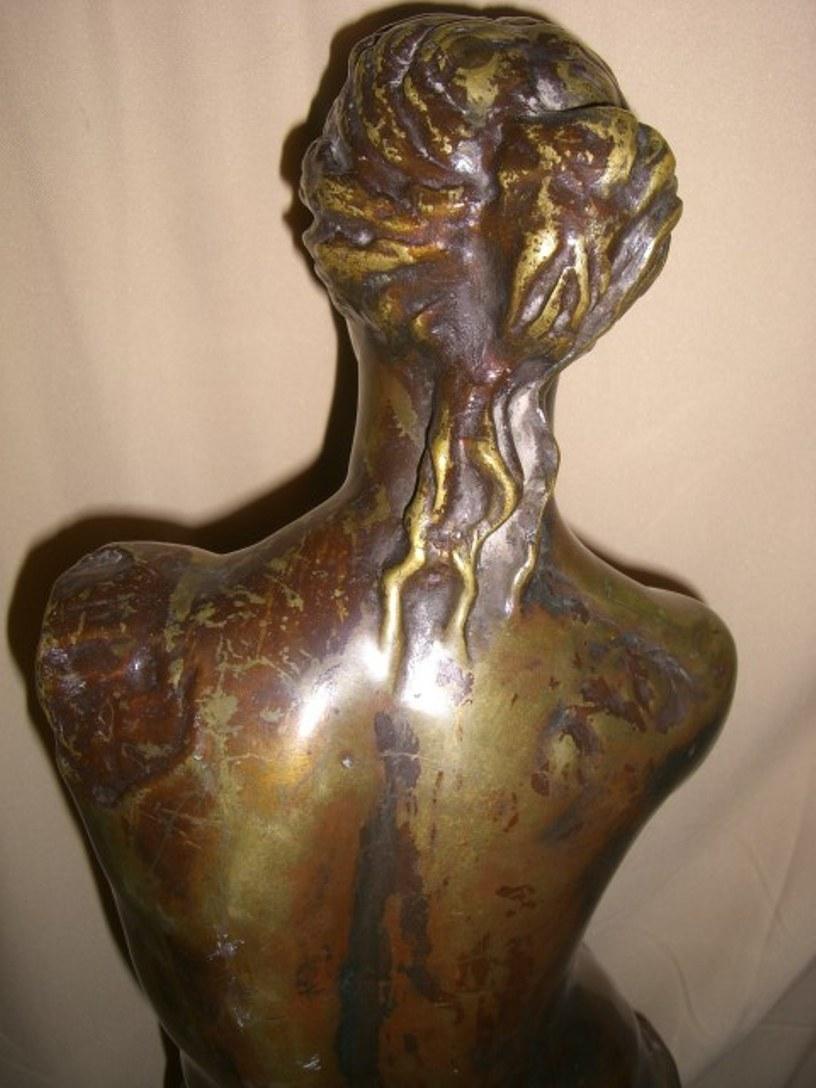 French Patinated Bronze Sculpture of Venus de Milo 1