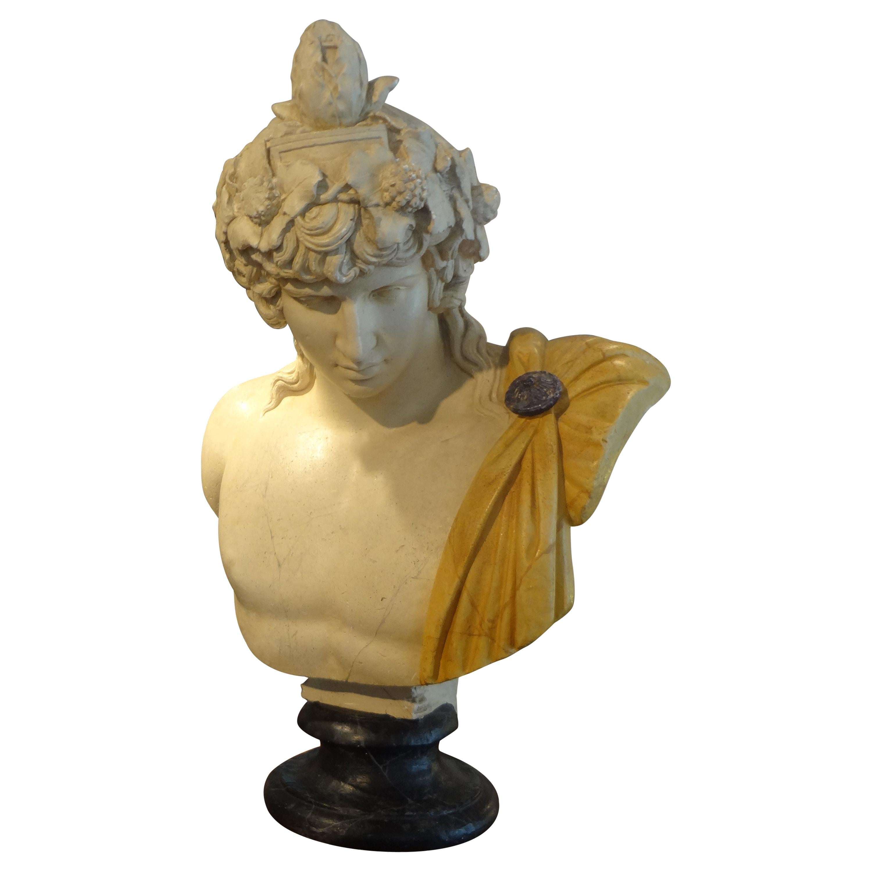 French Patinated Plaster Bust of Dionysus