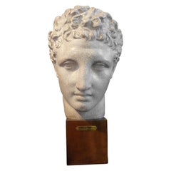 French Patinated Plaster Bust Sculpture of Hermes on Wood Base