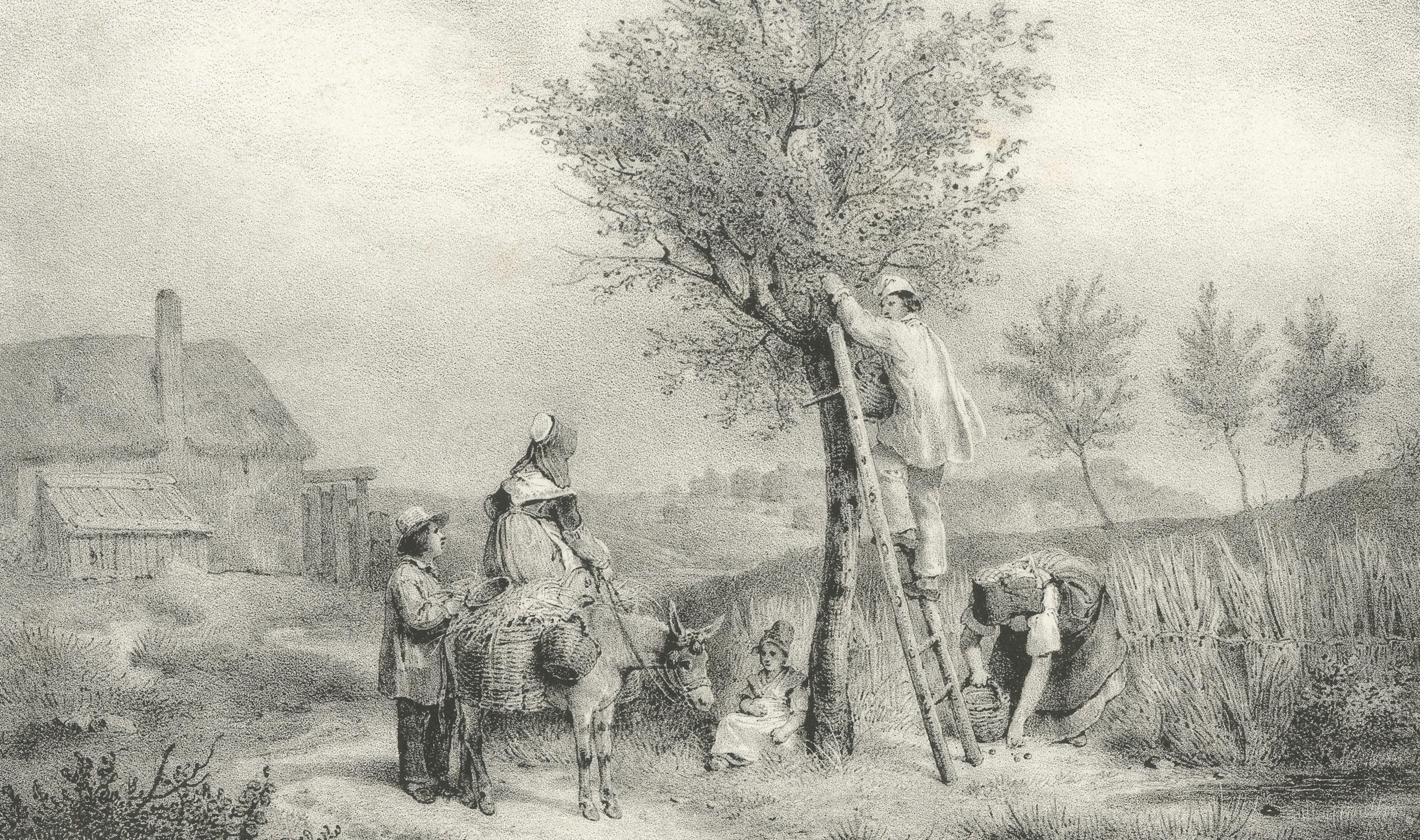 French Peasant Family Harvest Scene, Montmorency Countryside Lithograph, c.1830