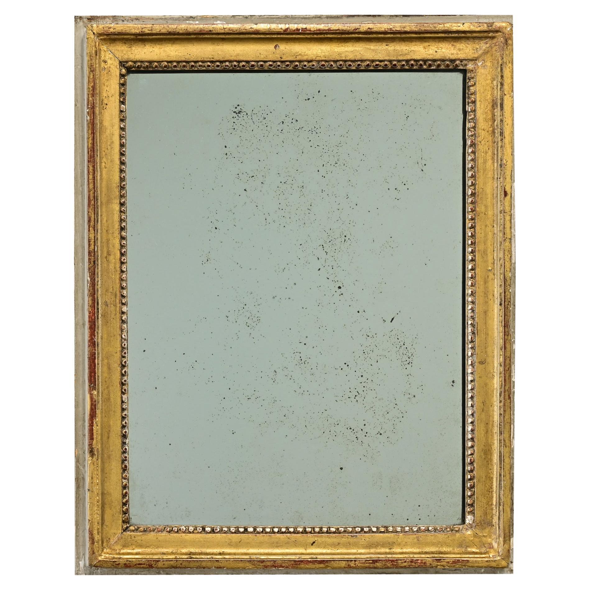 French Petite Louis XVI Gold Gilt Mirror