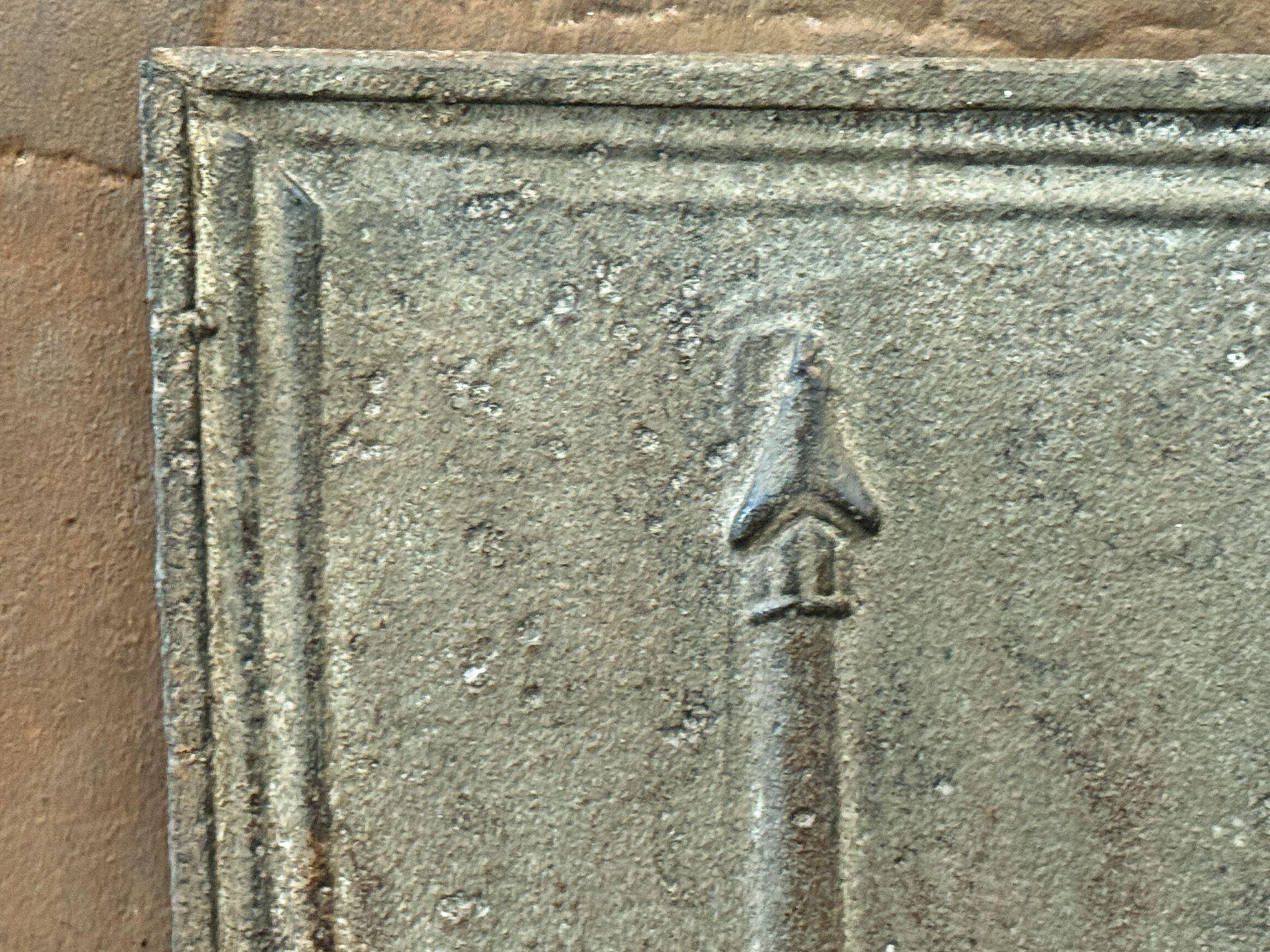 Neoclassico Rivestimento per caminetto francese 