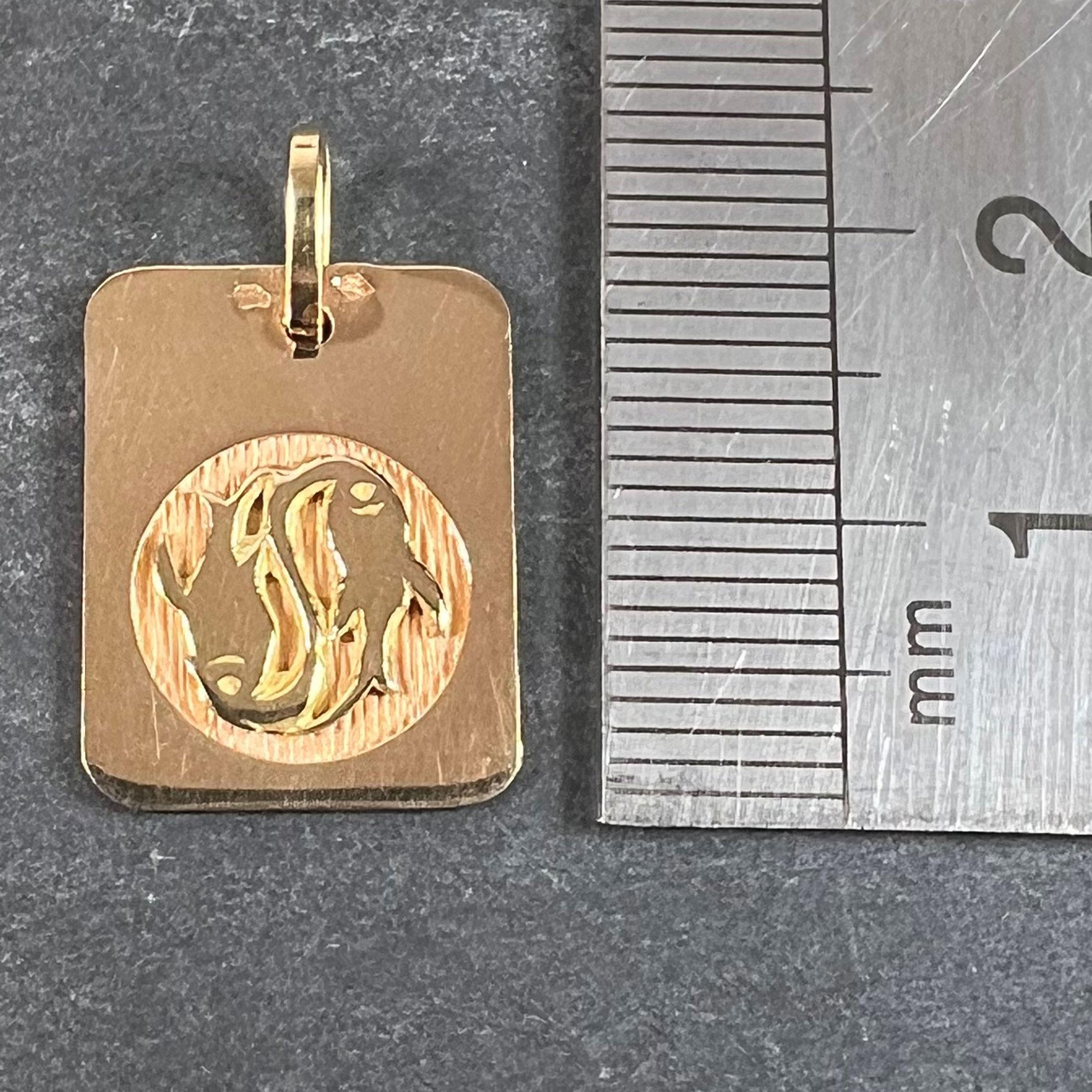 Colgante Medalla Encanto Zodiaco Piscis Francés Oro Amarillo 18K en venta 6