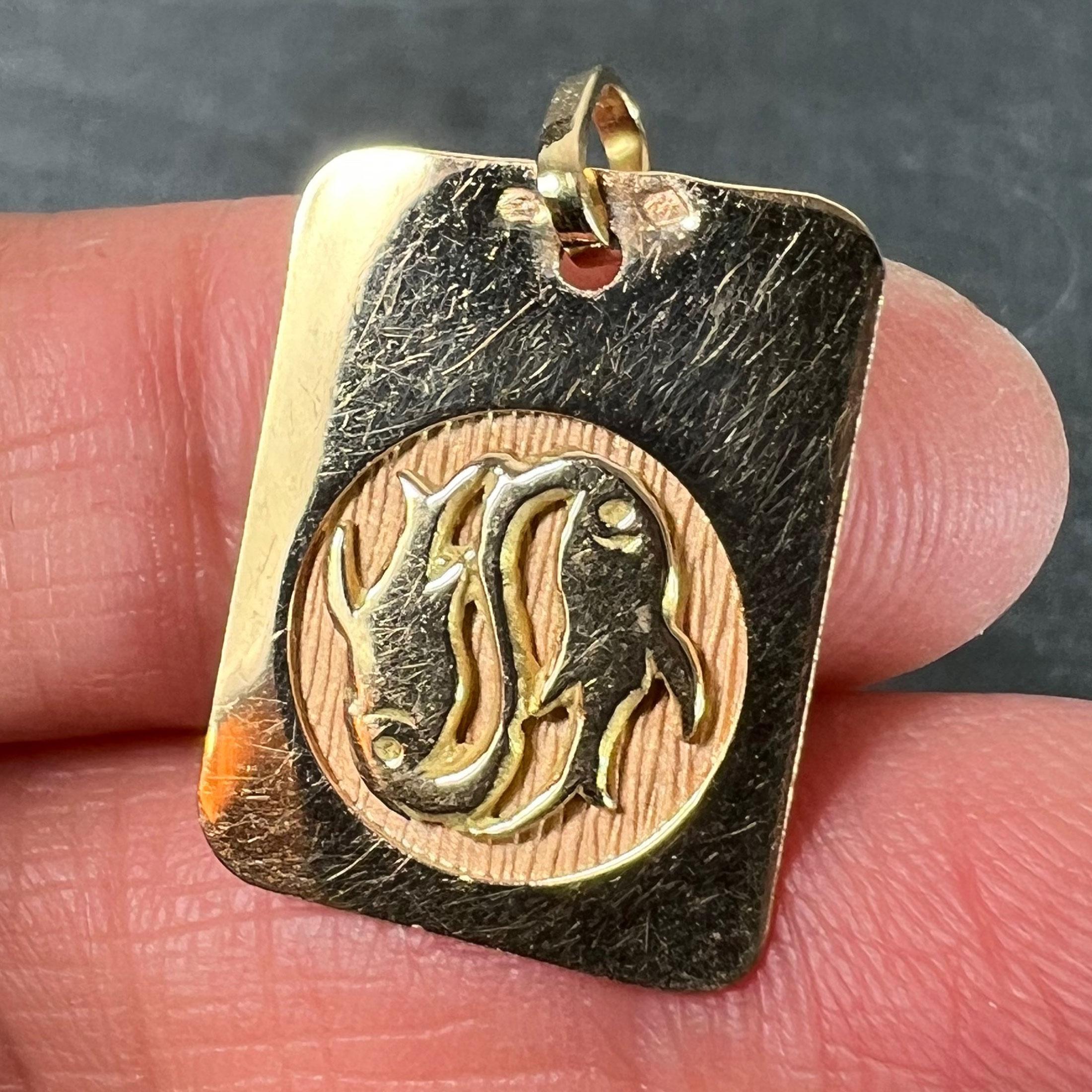 Colgante Medalla Encanto Zodiaco Piscis Francés Oro Amarillo 18K en venta 2
