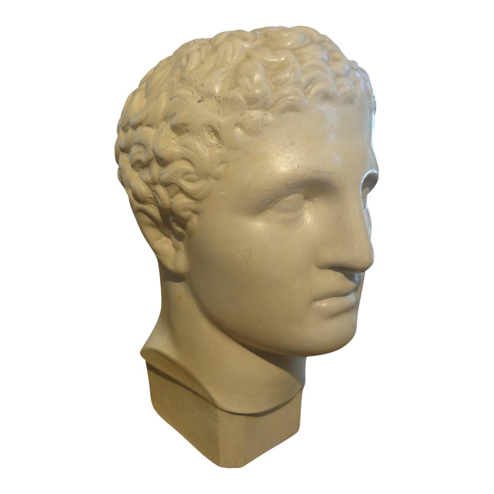 French Plaster Bust of a Classical Male 2