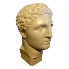 French Plaster Bust of a Classical Male