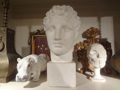 Busto in gesso francese di un uomo romano classico