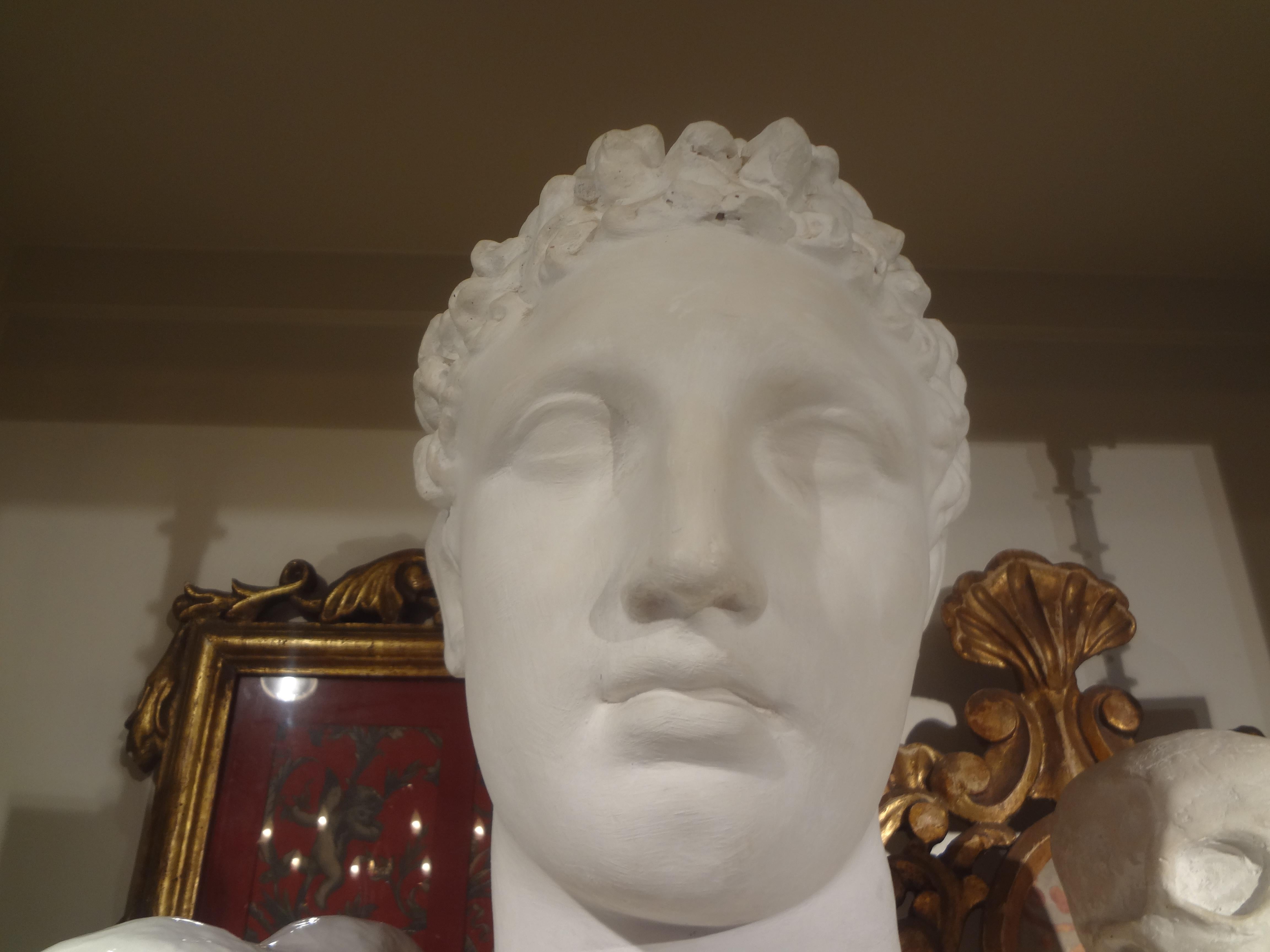 French Plaster Bust of a Classical Roman Male In Good Condition For Sale In Houston, TX