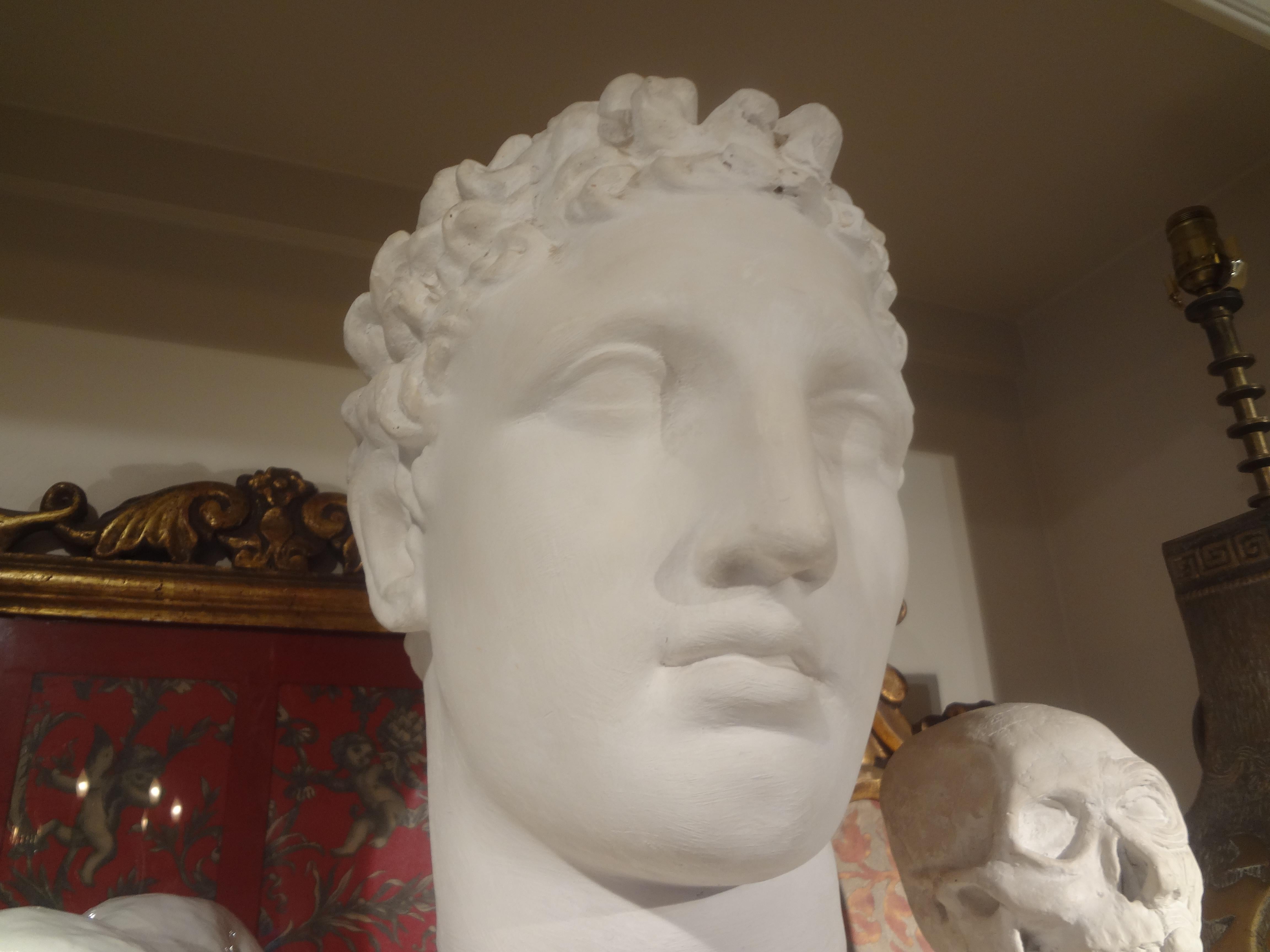 Early 20th Century French Plaster Bust of a Classical Roman Male For Sale
